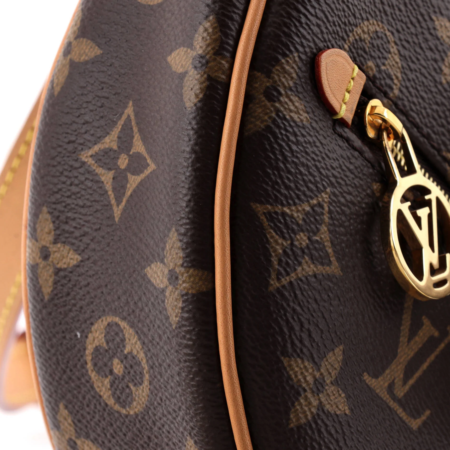 Loop Handbag Monogram Canvas - Image 6
