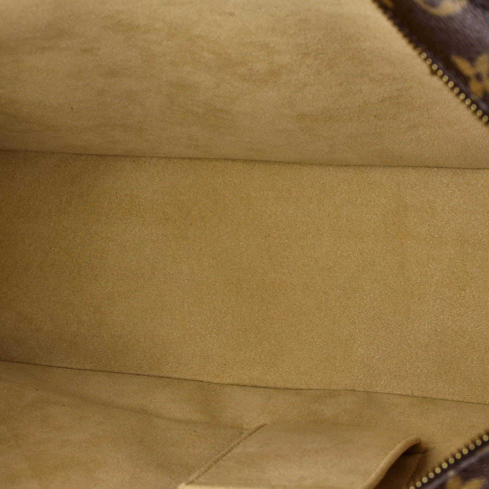 Luco Handbag Monogram Canvas - Image 5