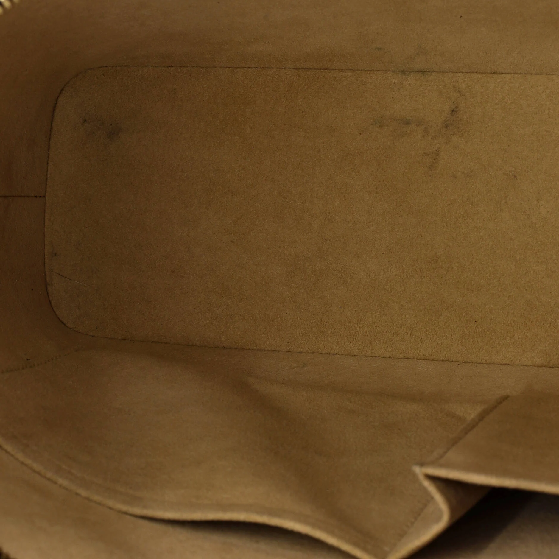 Luco Handbag Monogram Canvas - Image 5