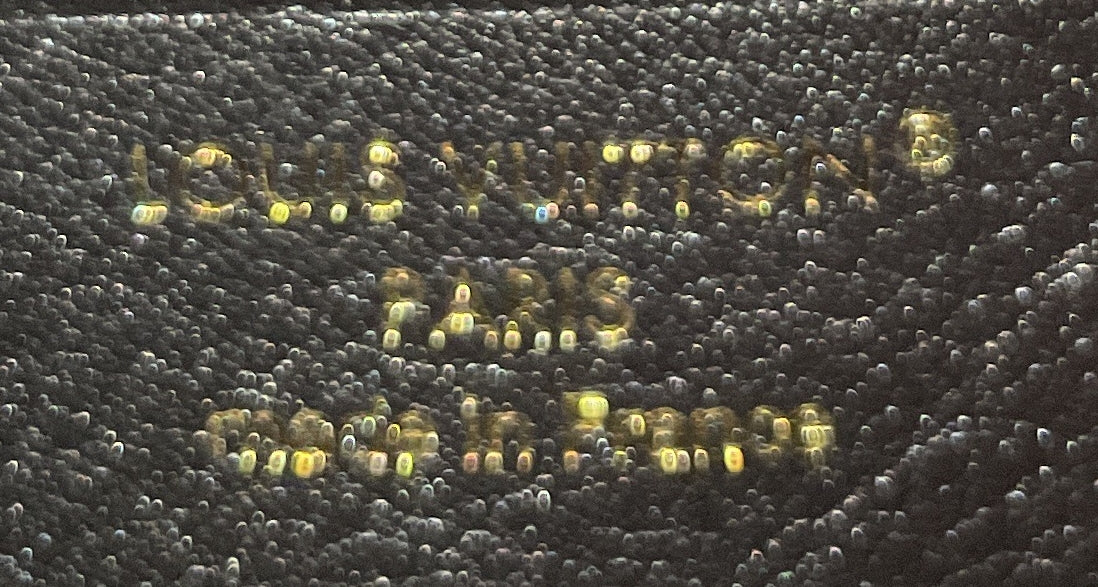 LV Bloom Wallet on Chain Leather - Image 7