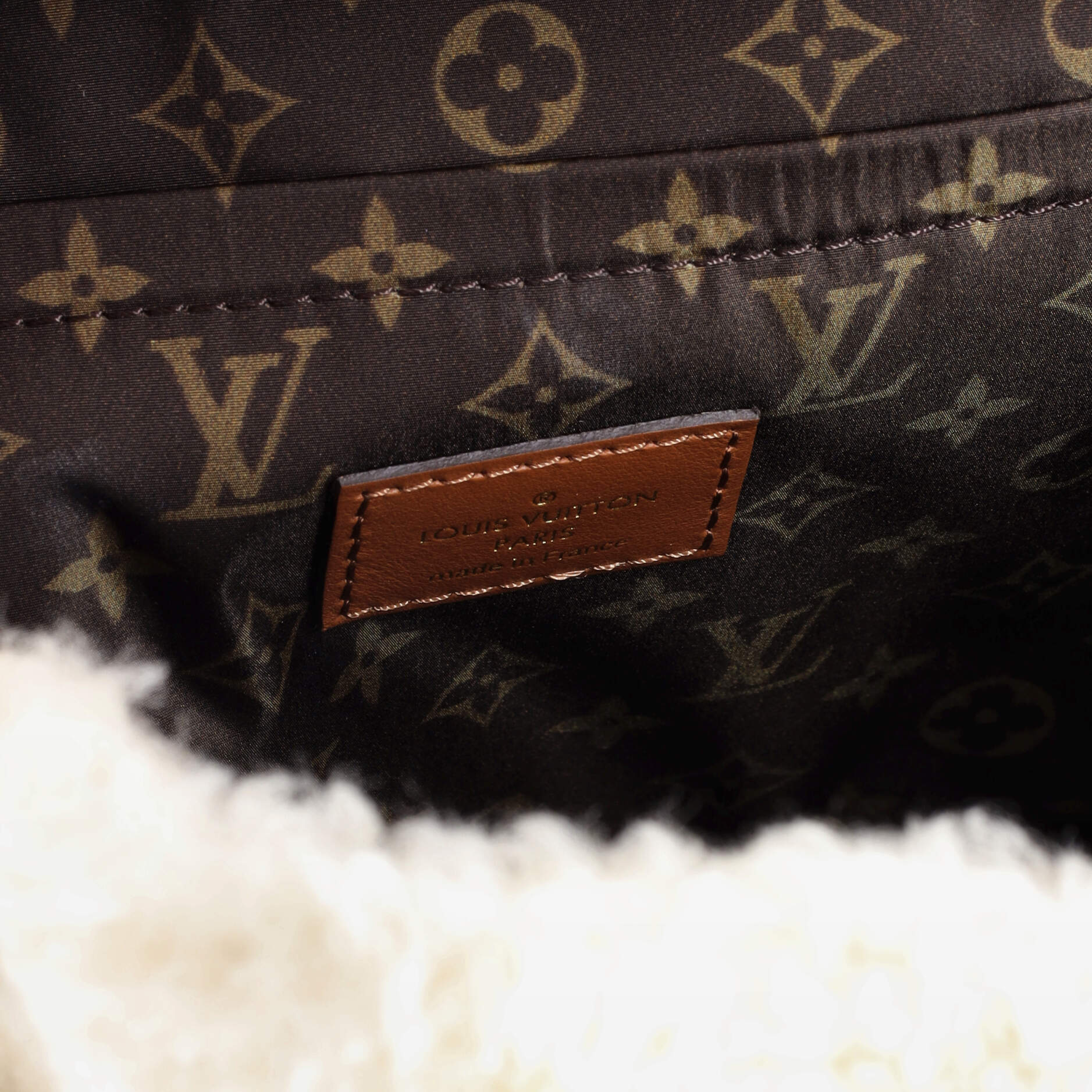 LV Ski Backpack Shearling and Monogram Canvas - Image 6