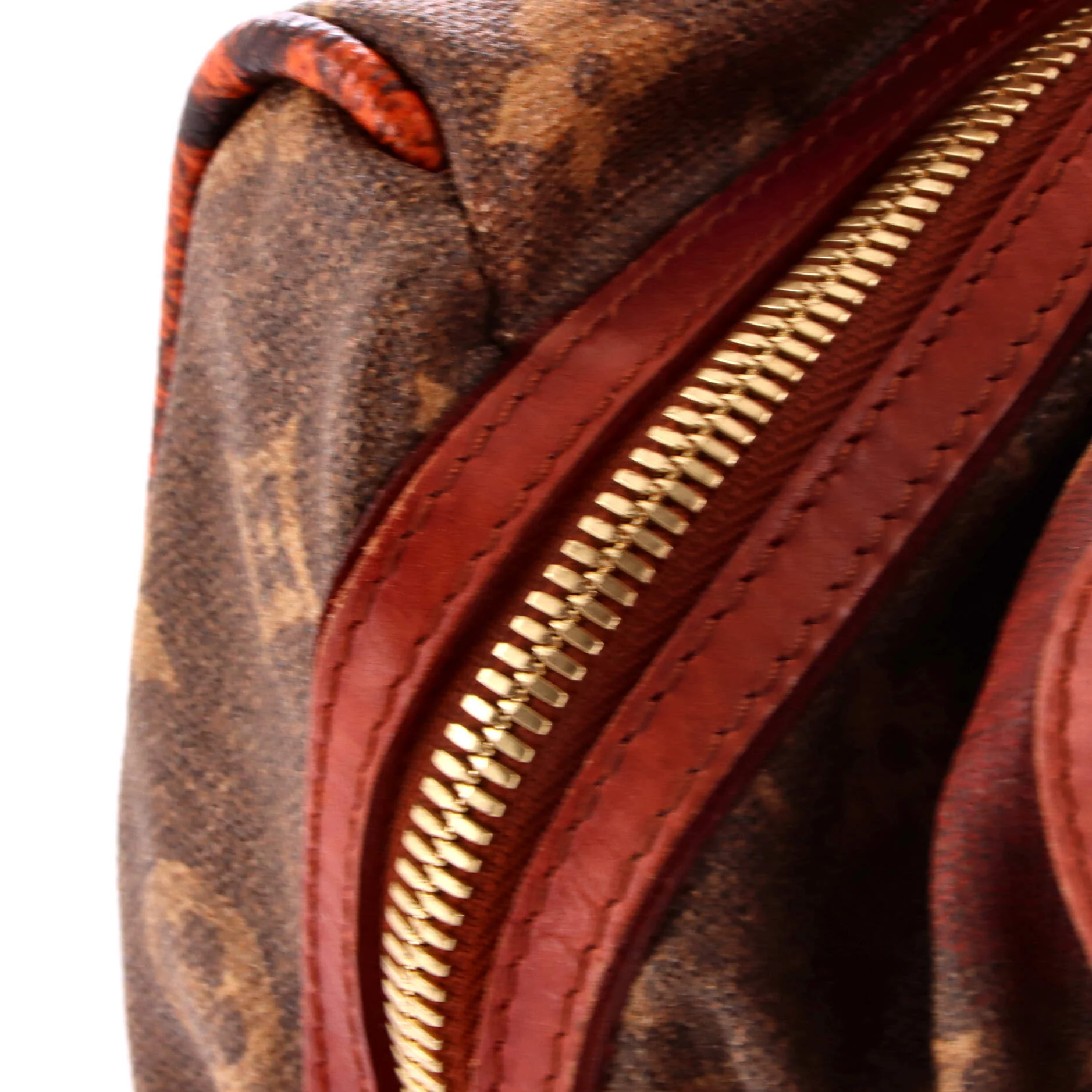 Mancrazy Jokes Handbag Monogram Canvas and Snakeskin - Image 7