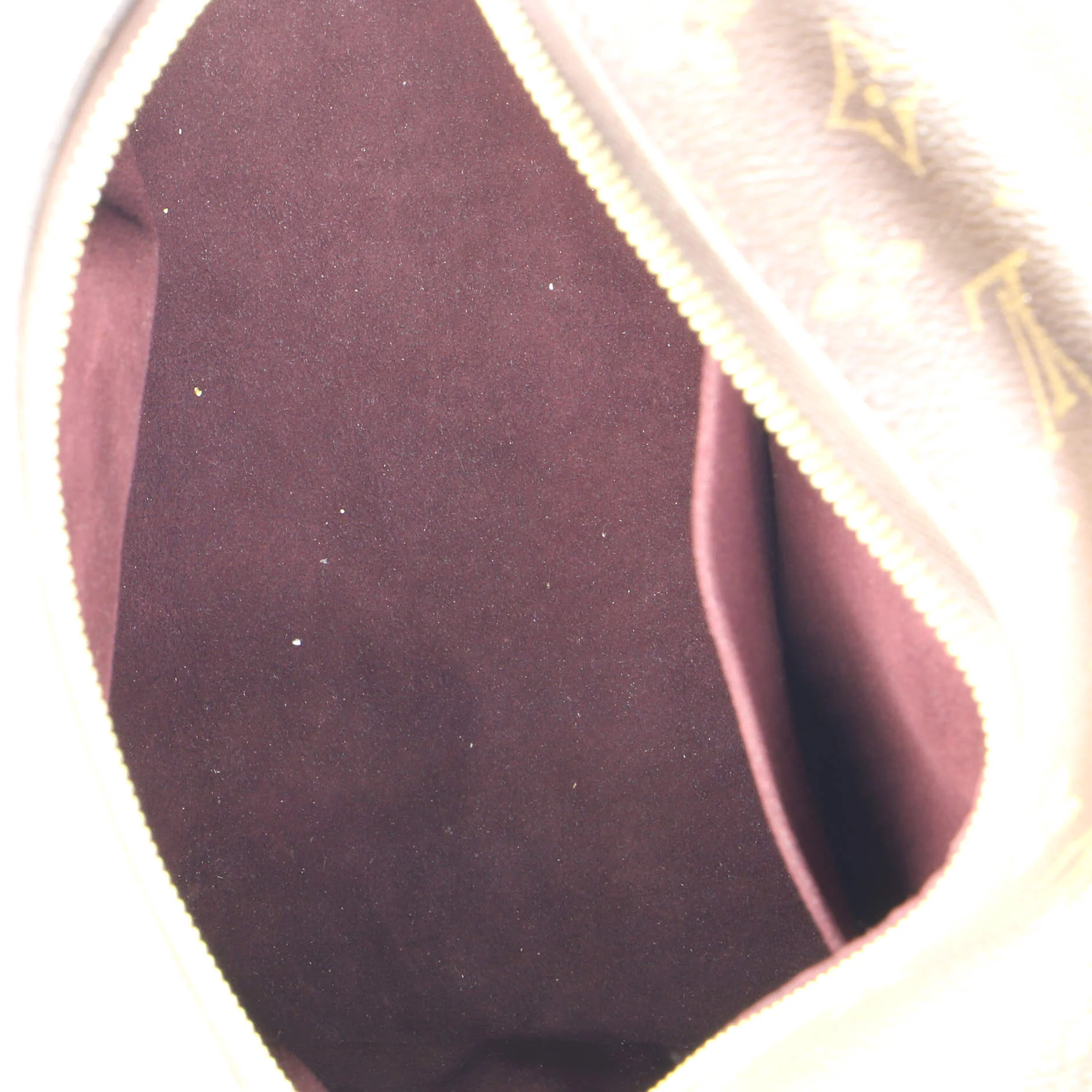 Marais Handbag Monogram Canvas MM - Image 5