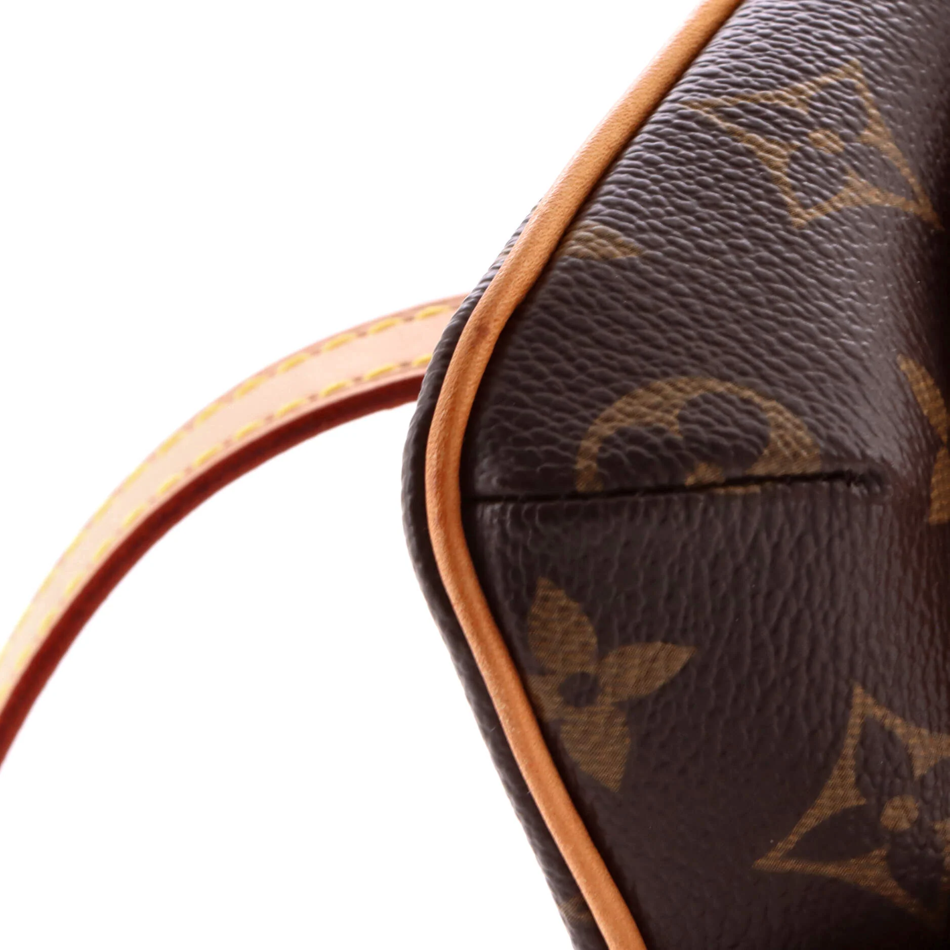 Marelle Waist Bag Monogram Canvas - Image 7