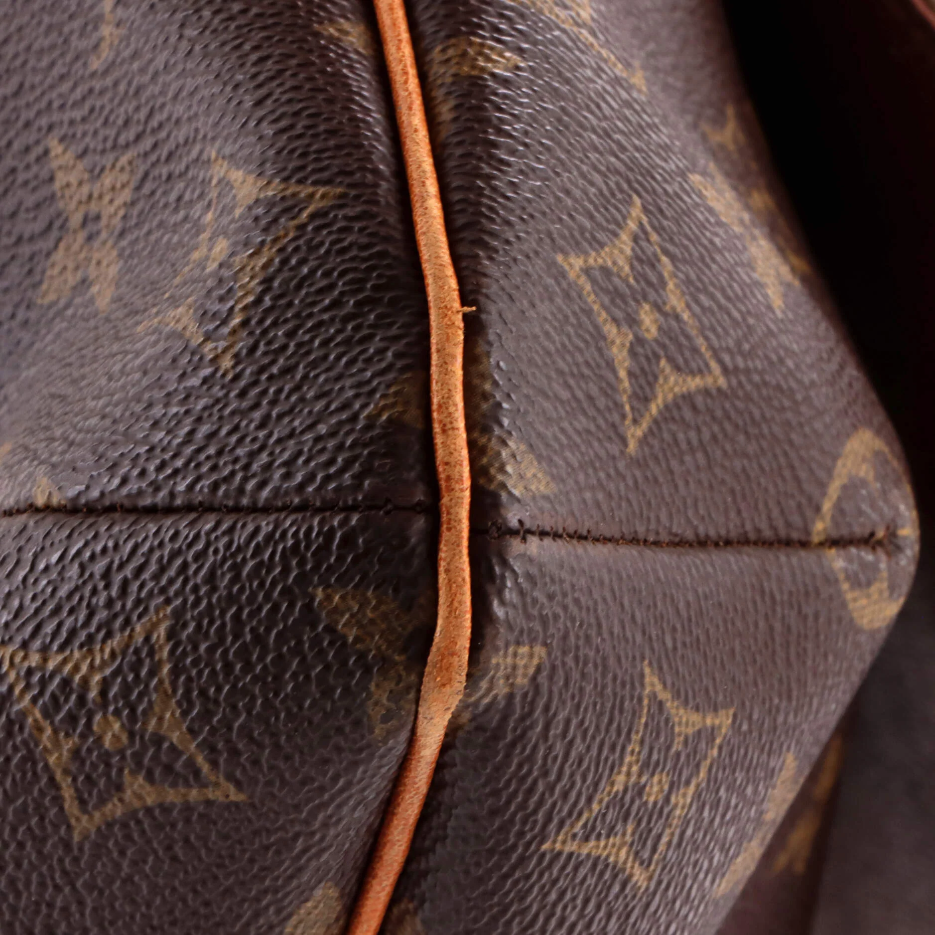 Musette Salsa Handbag Monogram Canvas GM - Image 6