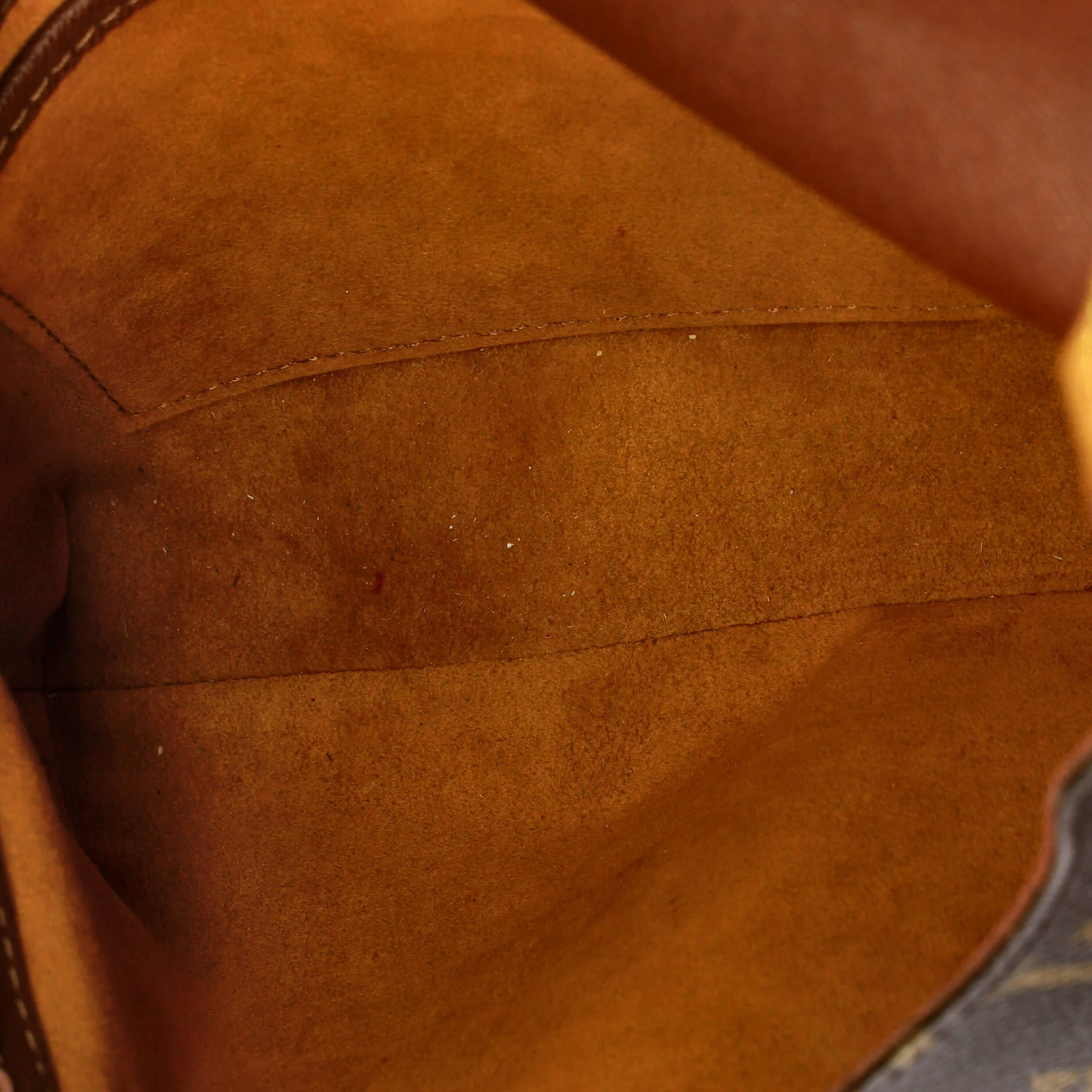 Musette Tango Handbag Monogram Canvas - Image 5
