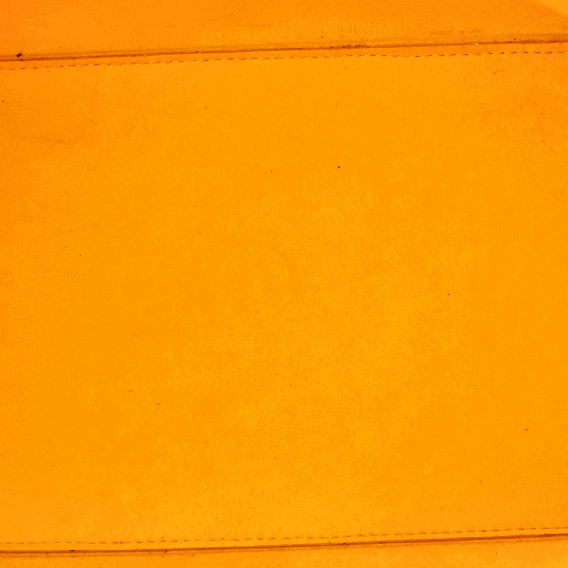 Neverfull Tote Epi Leather MM - Image 5