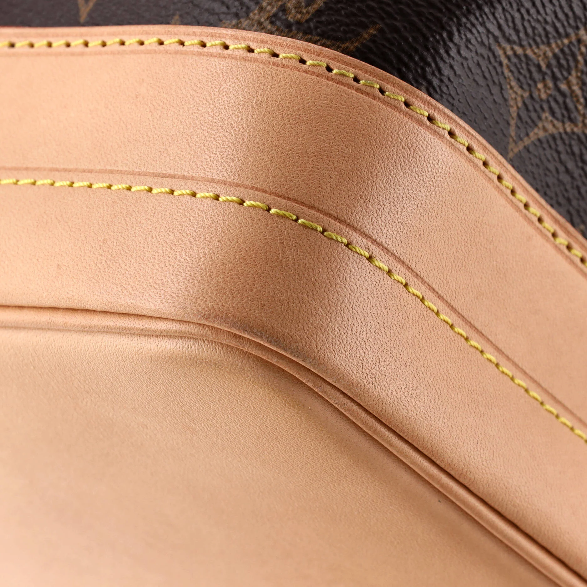 Noe Handbag Monogram Canvas Large - Image 6