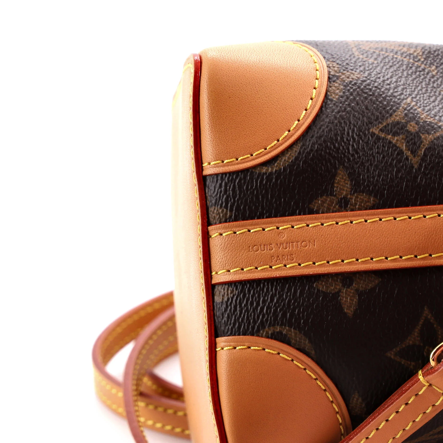 Noe Purse Monogram Canvas - Image 6