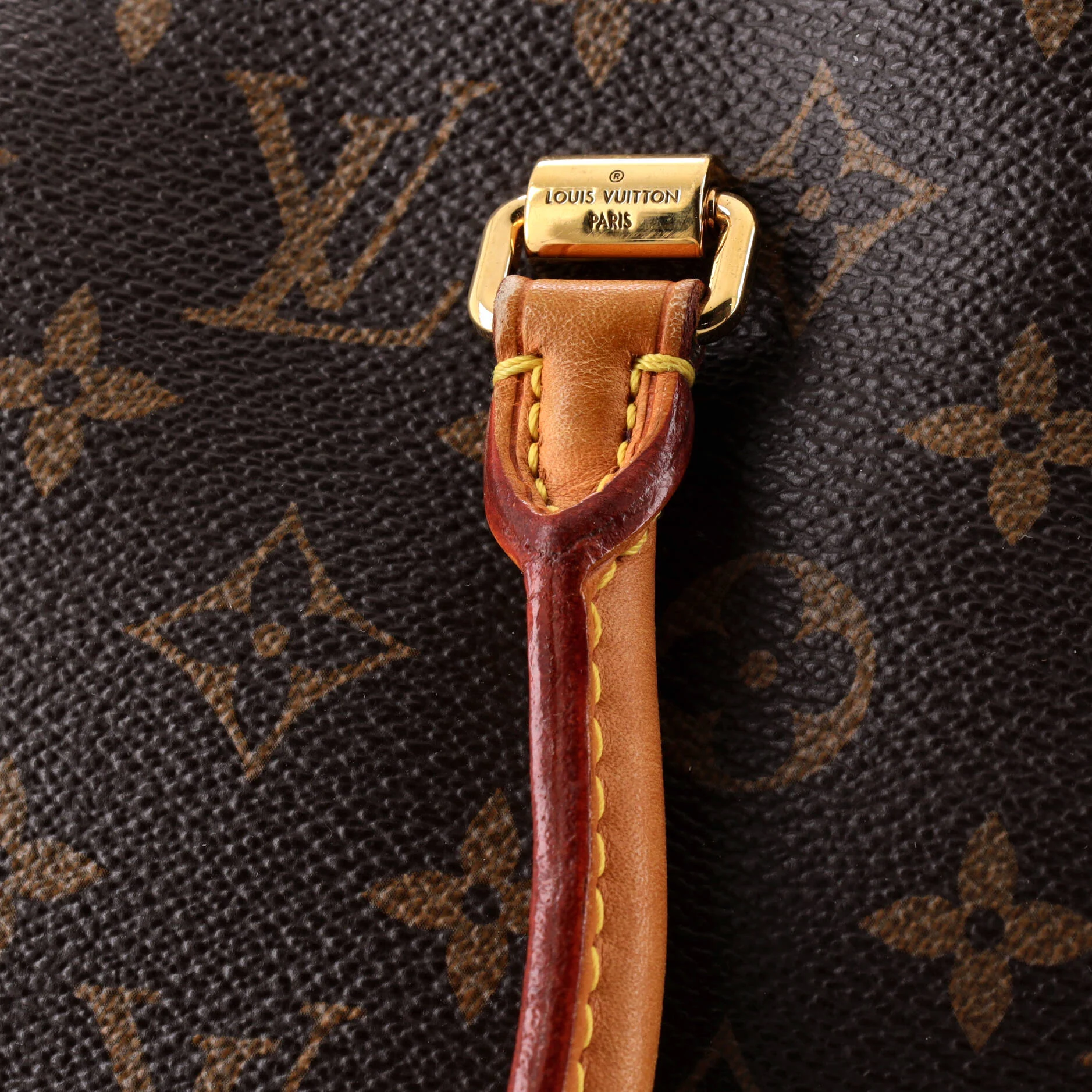 Pallas Tote Monogram Canvas with Leather - Image 6