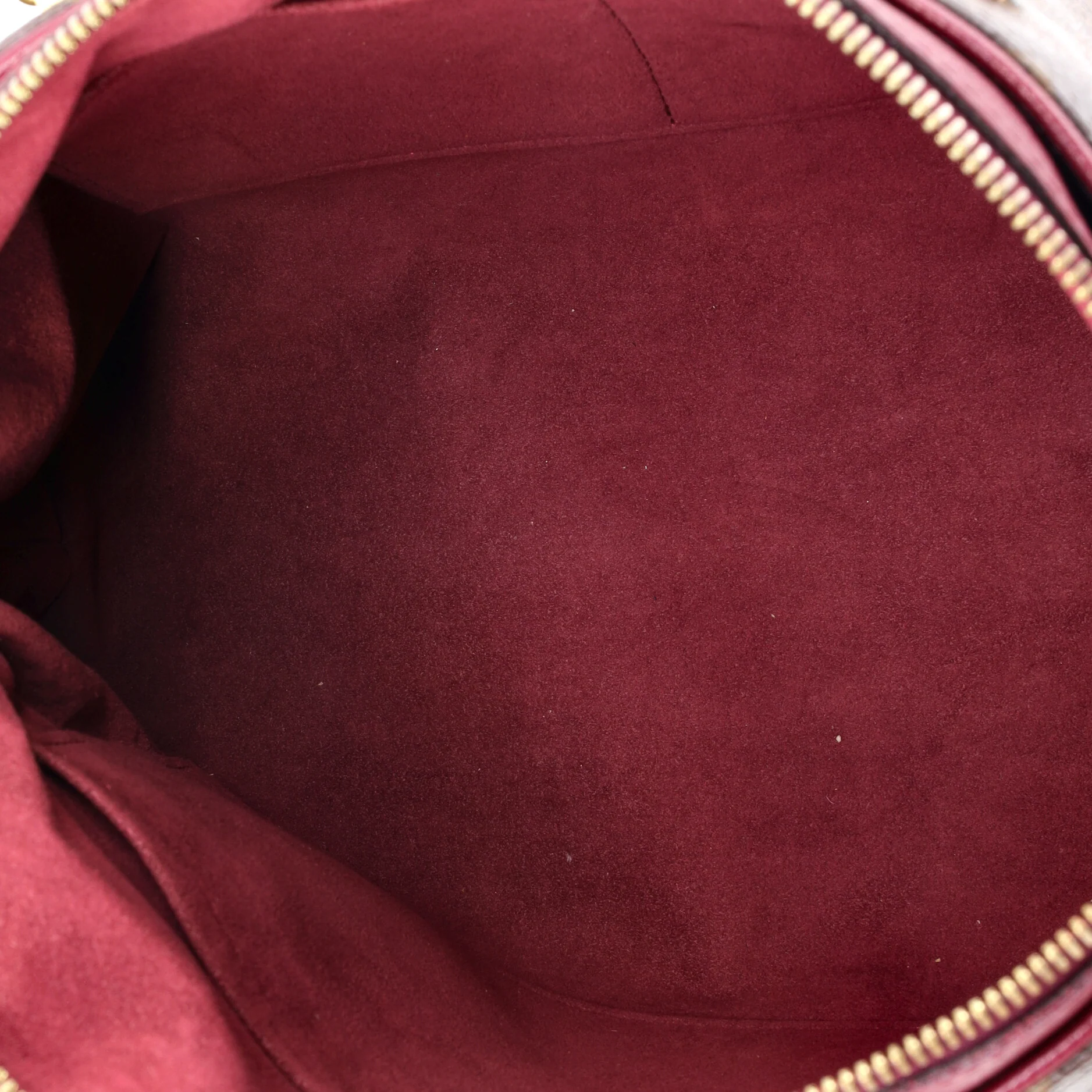 Pallas Tote Monogram Canvas with Leather - Image 5