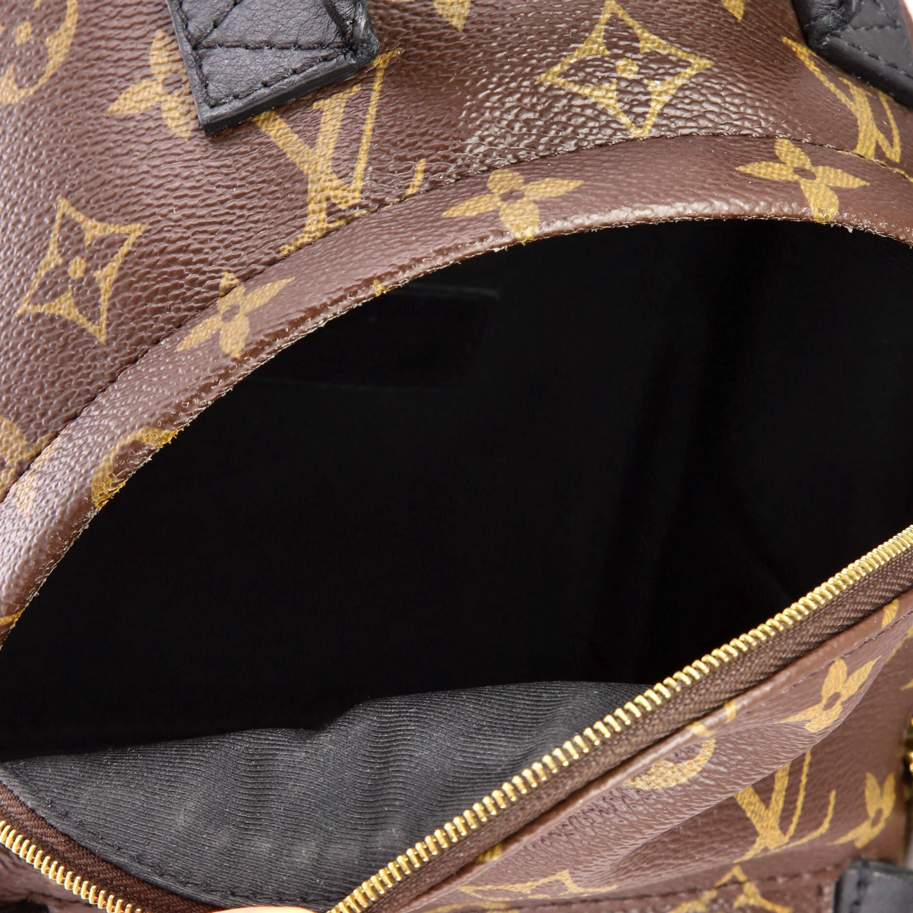 Palm Springs Backpack Monogram Canvas Mini - Image 5