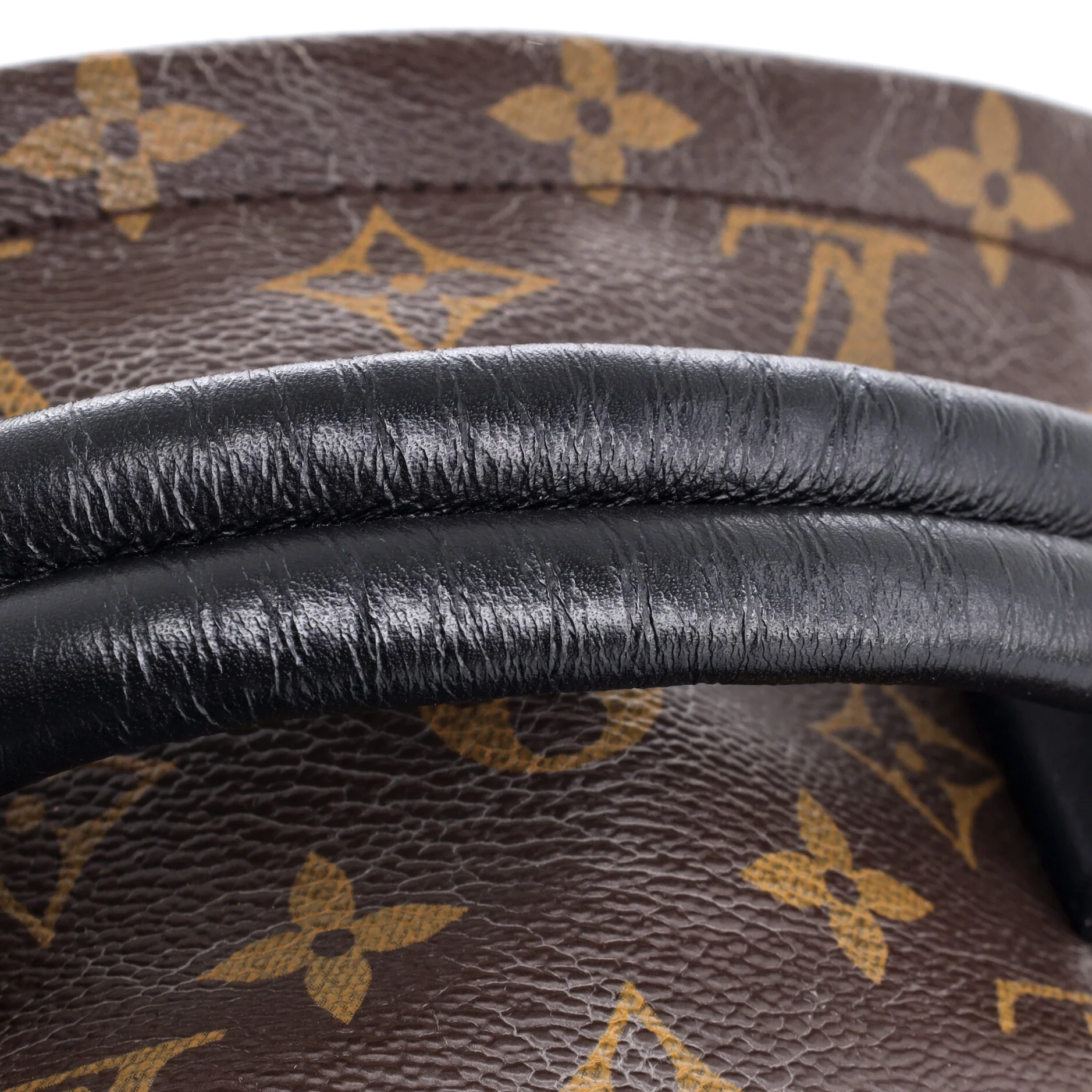 Palm Springs Backpack Monogram Canvas MM - Image 7