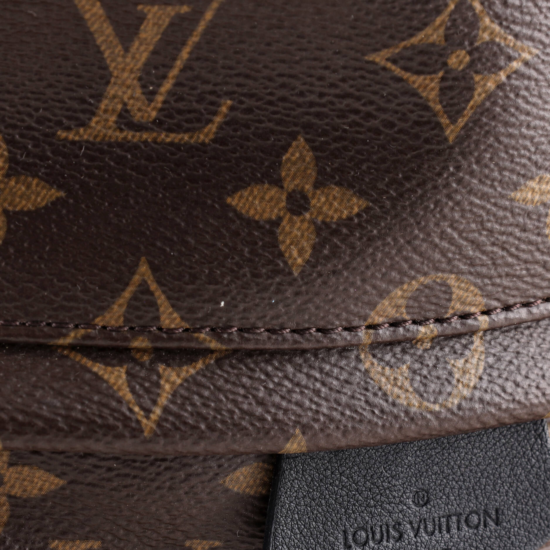 Palm Springs Backpack Monogram Canvas MM - Image 6