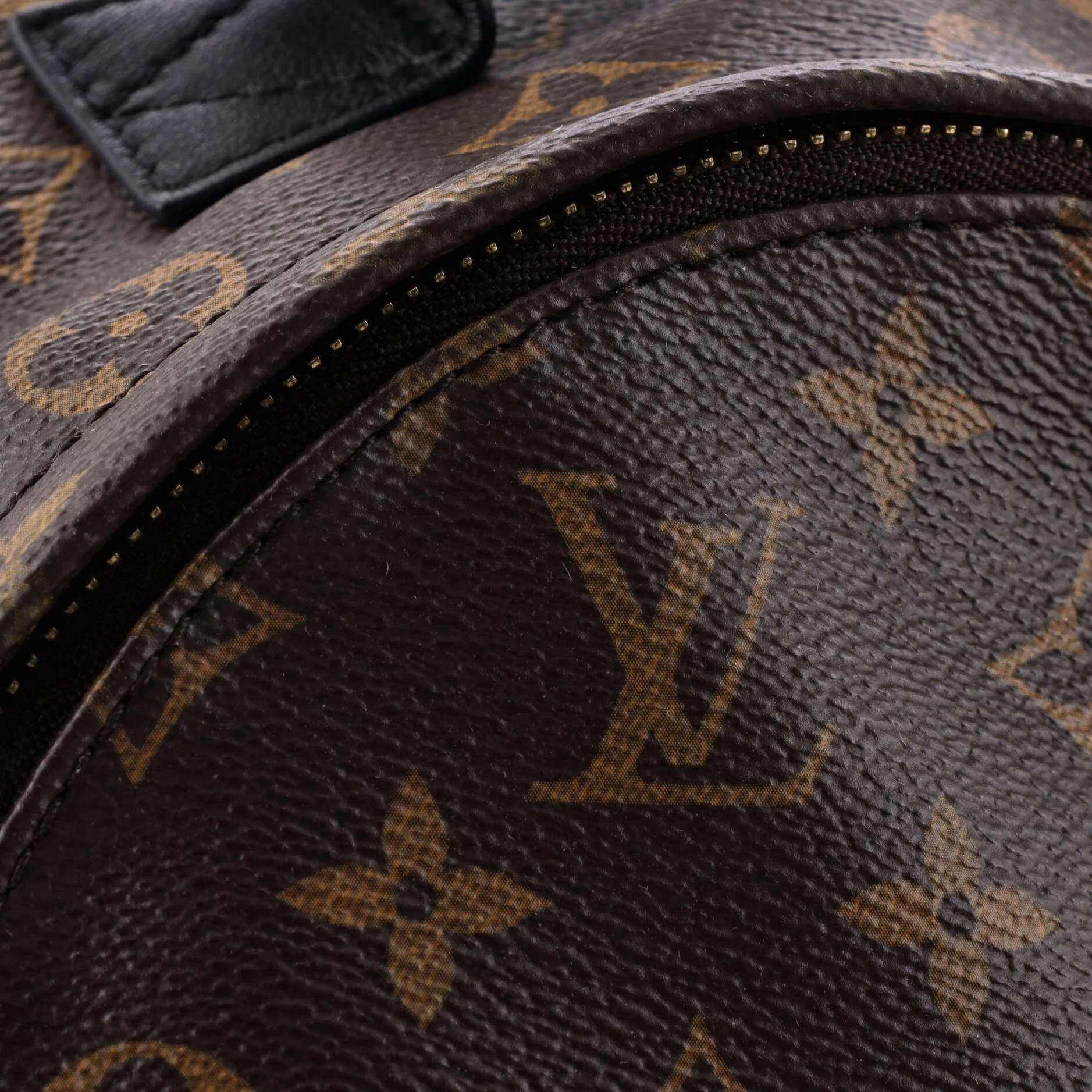 Palm Springs Backpack Monogram Canvas PM - Image 6