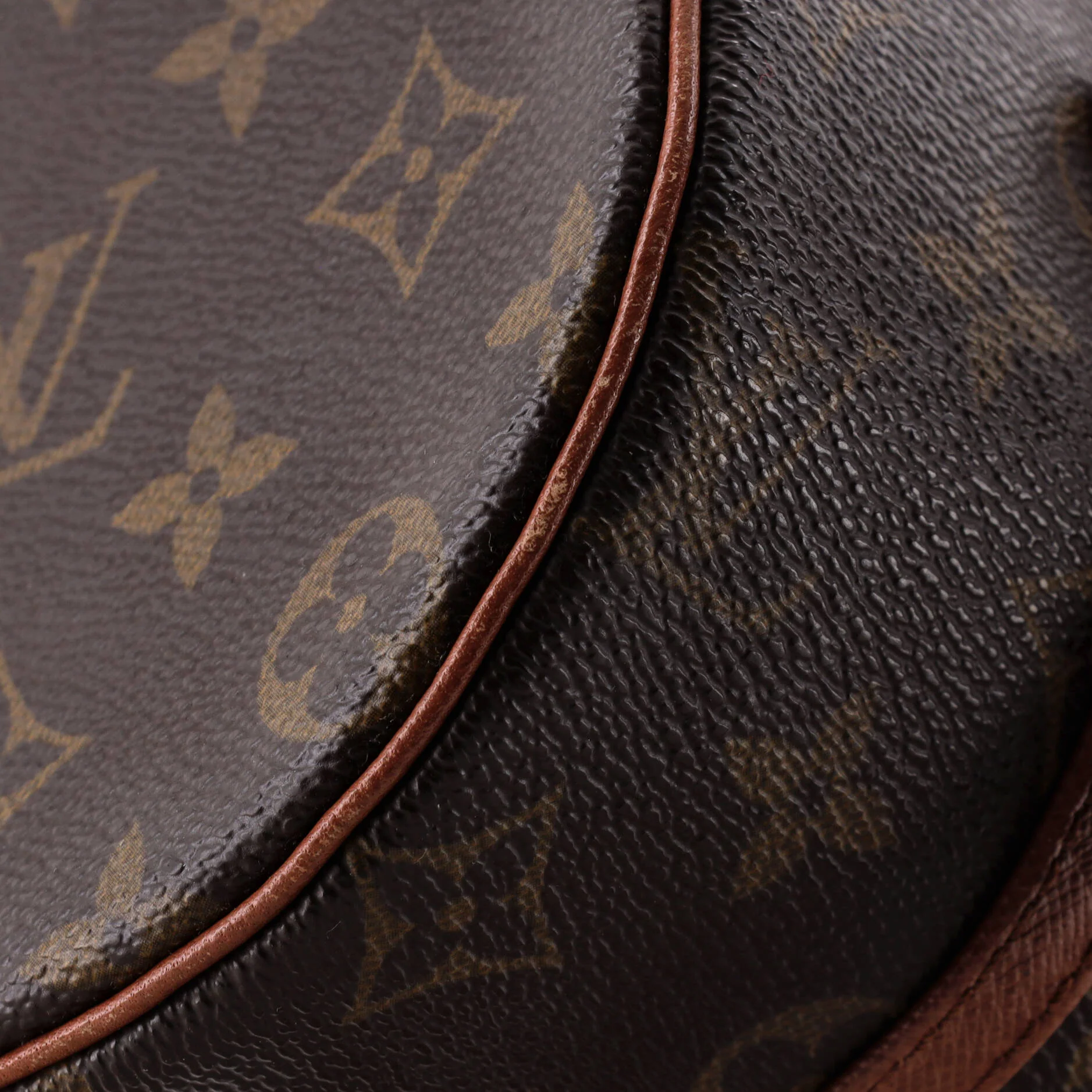 Papillon Handbag Monogram Canvas 26 - Image 6