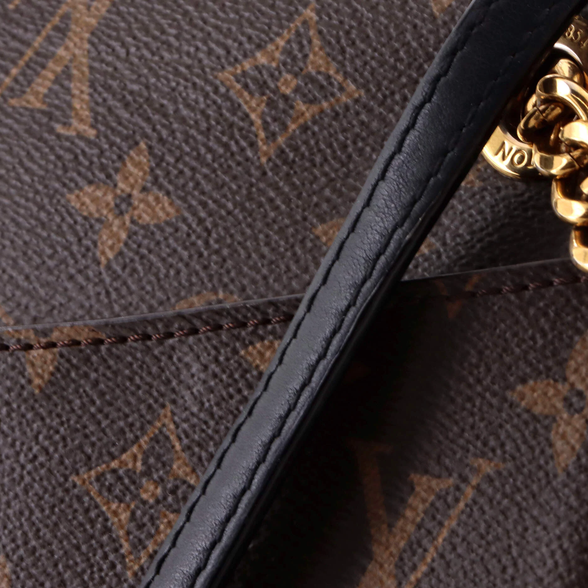 Passy Handbag Monogram Canvas - Image 6