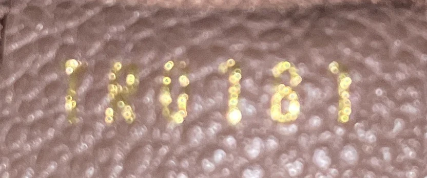 Petillante Clutch Monogram Empreinte Leather - Image 7