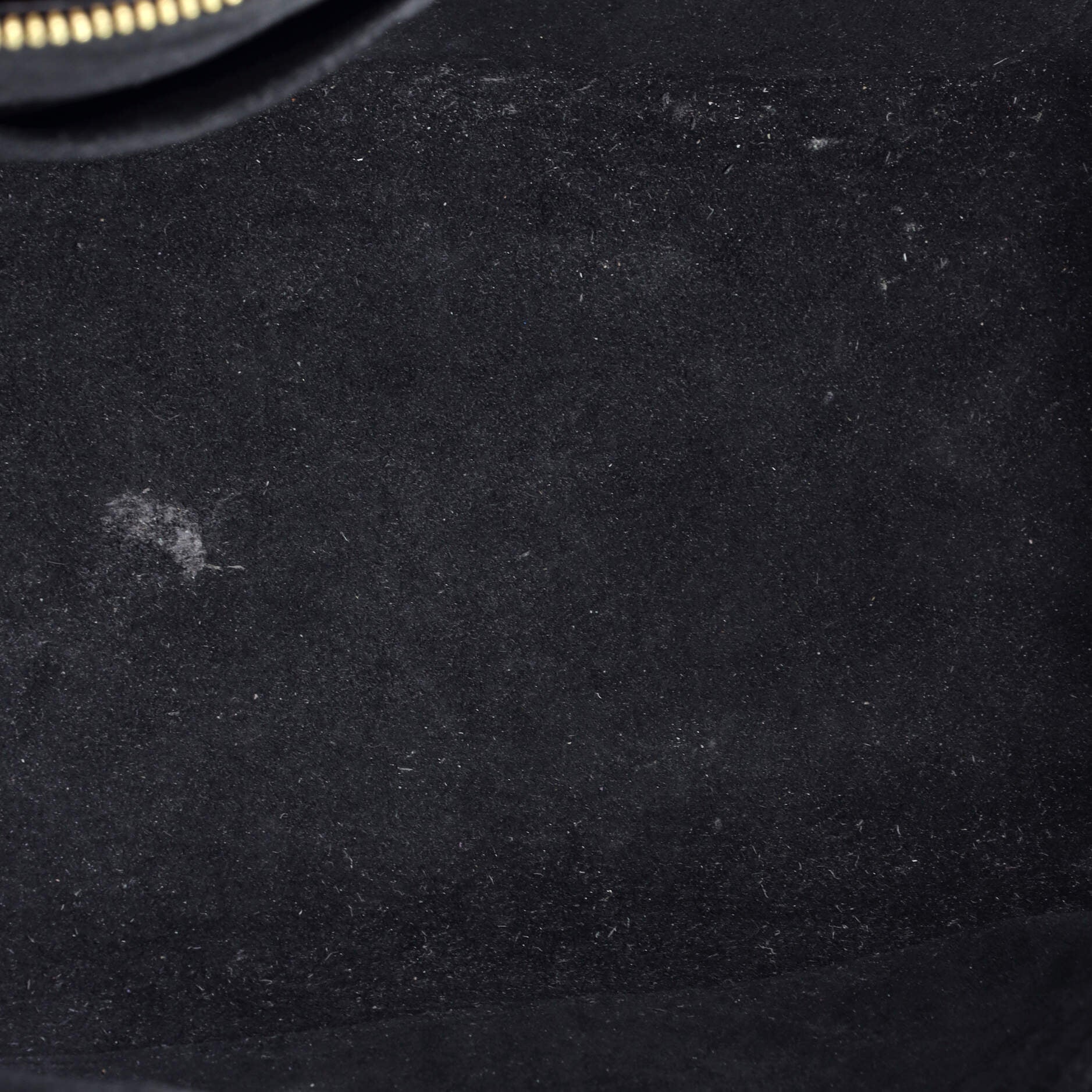 Petit Palais Handbag Bicolor Monogram Empreinte Giant - Image 5