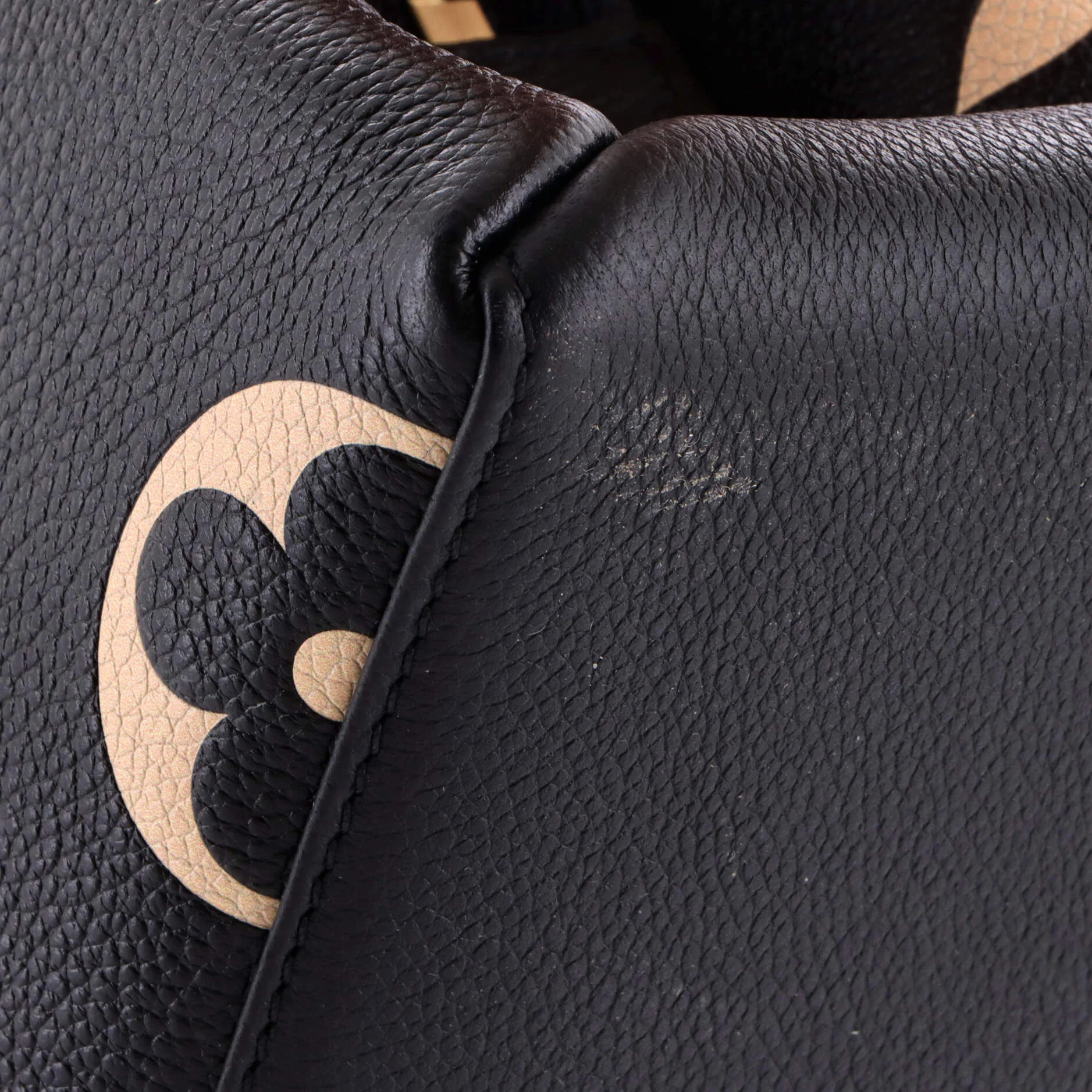 Petit Palais Handbag Bicolor Monogram Empreinte Giant - Image 6