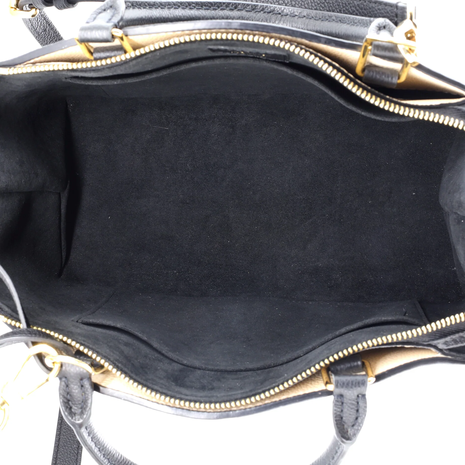Petit Palais Handbag Bicolor Monogram Empreinte Giant - Image 5