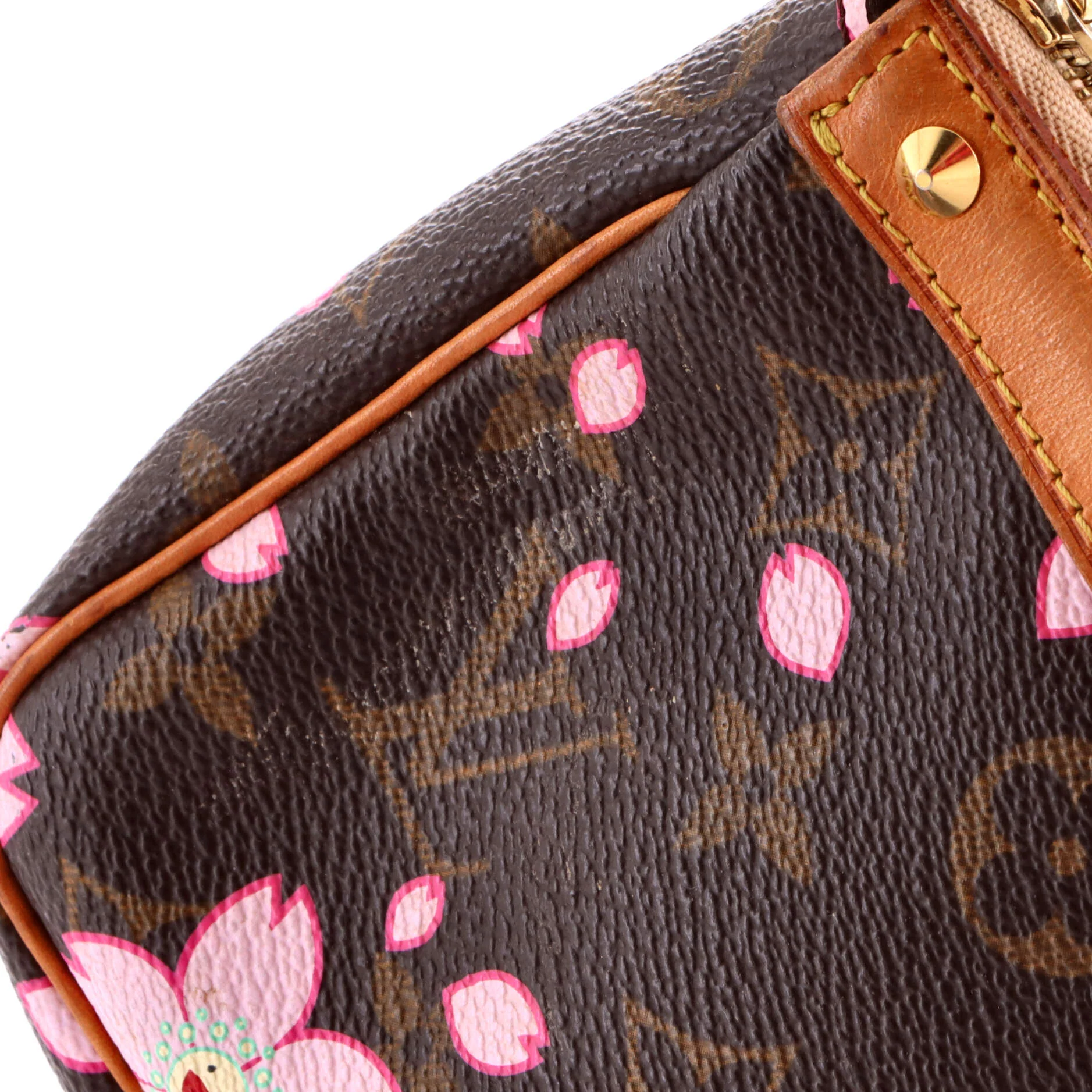 Pochette Accessoires Limited Edition Cherry Blossom Monogram - Image 6