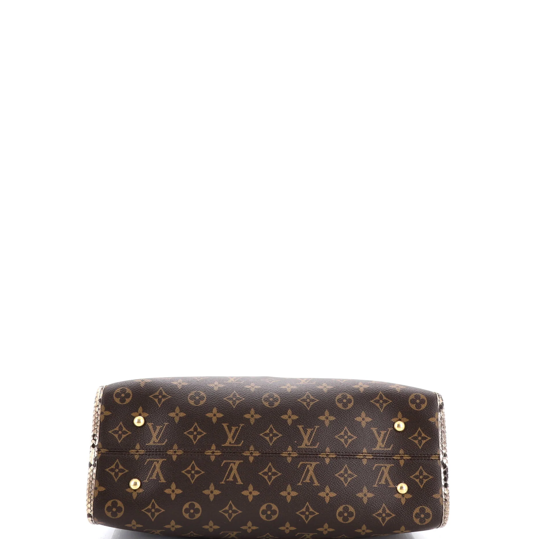 Popincourt NM Handbag Monogram Canvas with Python MM - Image 4