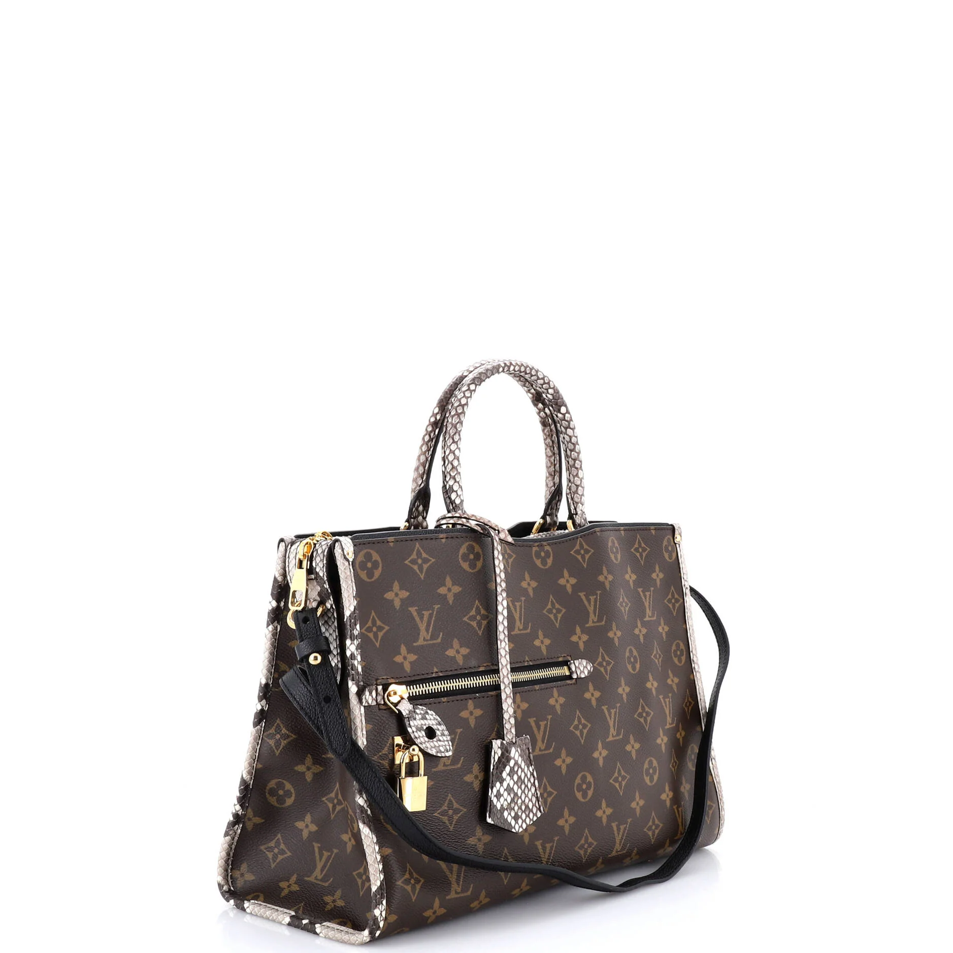 Popincourt NM Handbag Monogram Canvas with Python MM - Image 2