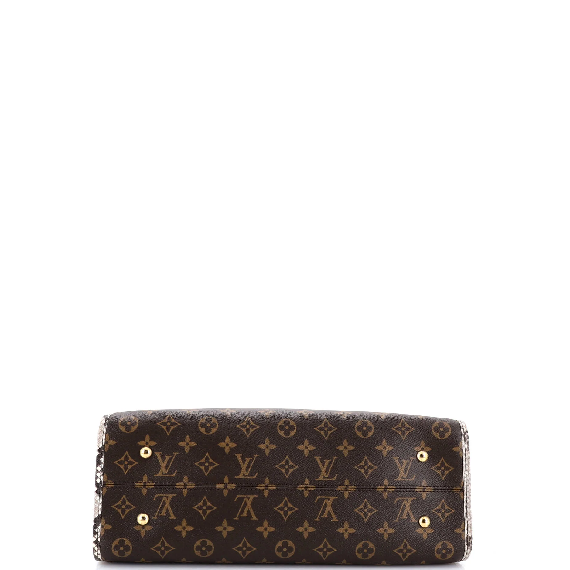 Popincourt NM Handbag Monogram Canvas with Python MM - Image 4