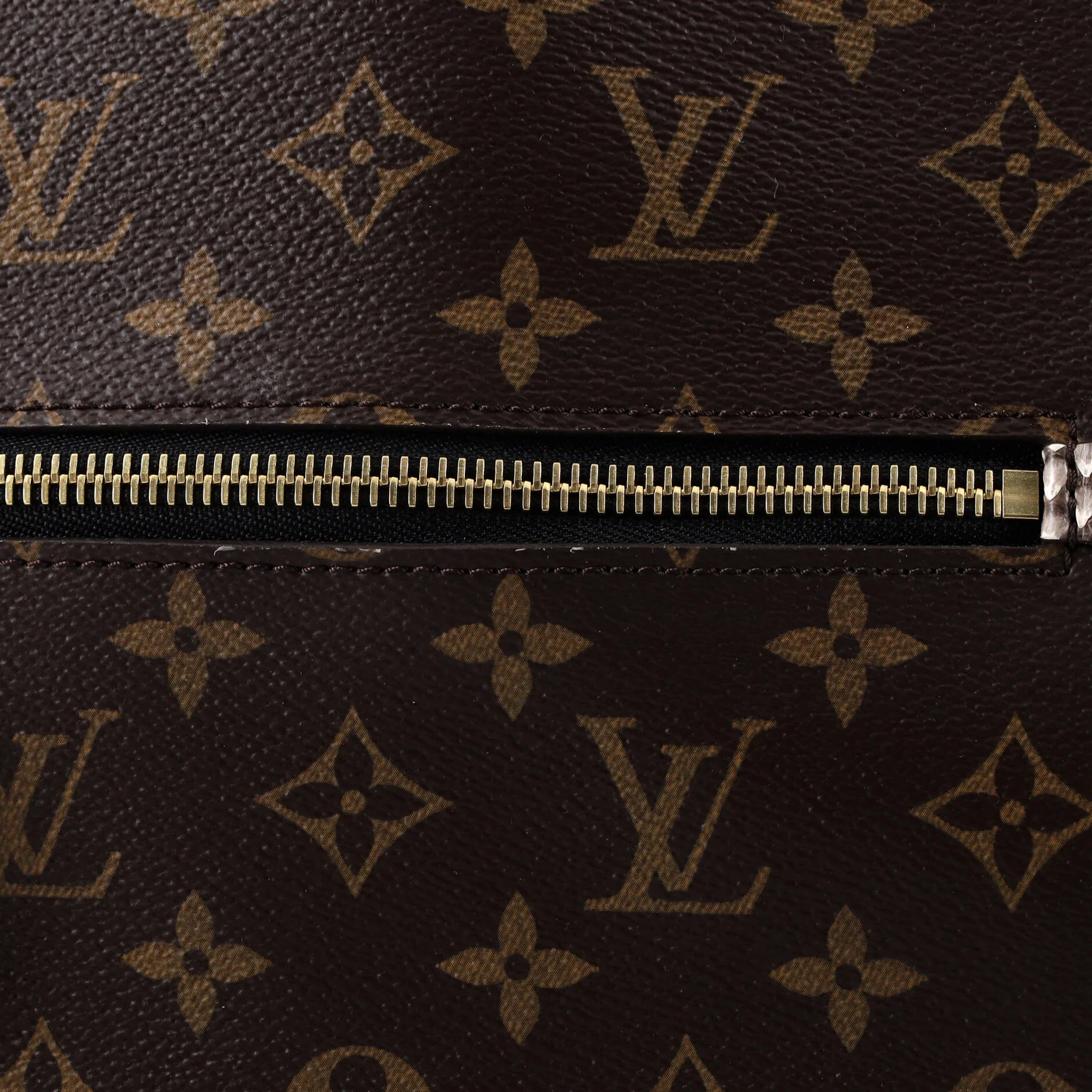 Popincourt NM Handbag Monogram Canvas with Python MM - Image 7