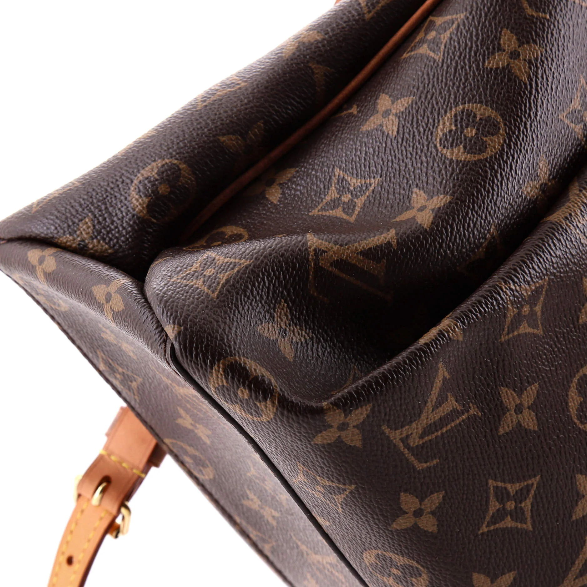 Rivoli Handbag Monogram Canvas MM - Image 6