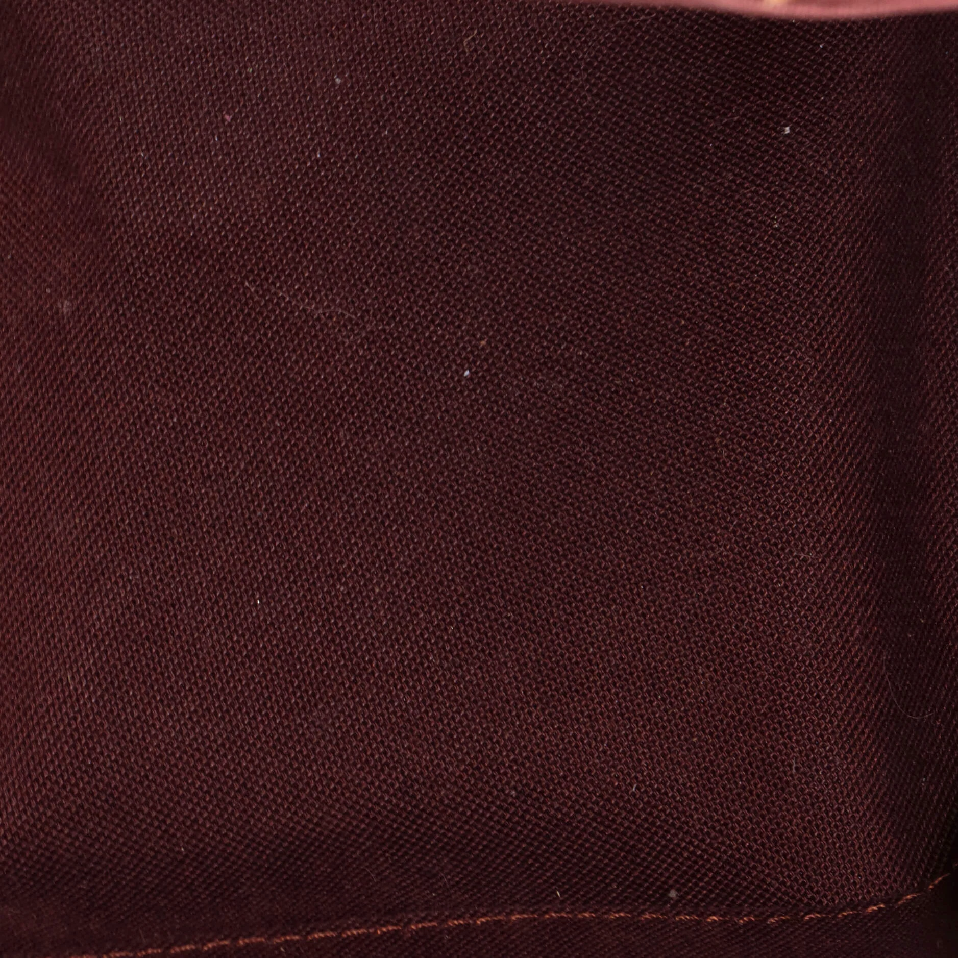 Rivoli Handbag Monogram Canvas PM - Image 5
