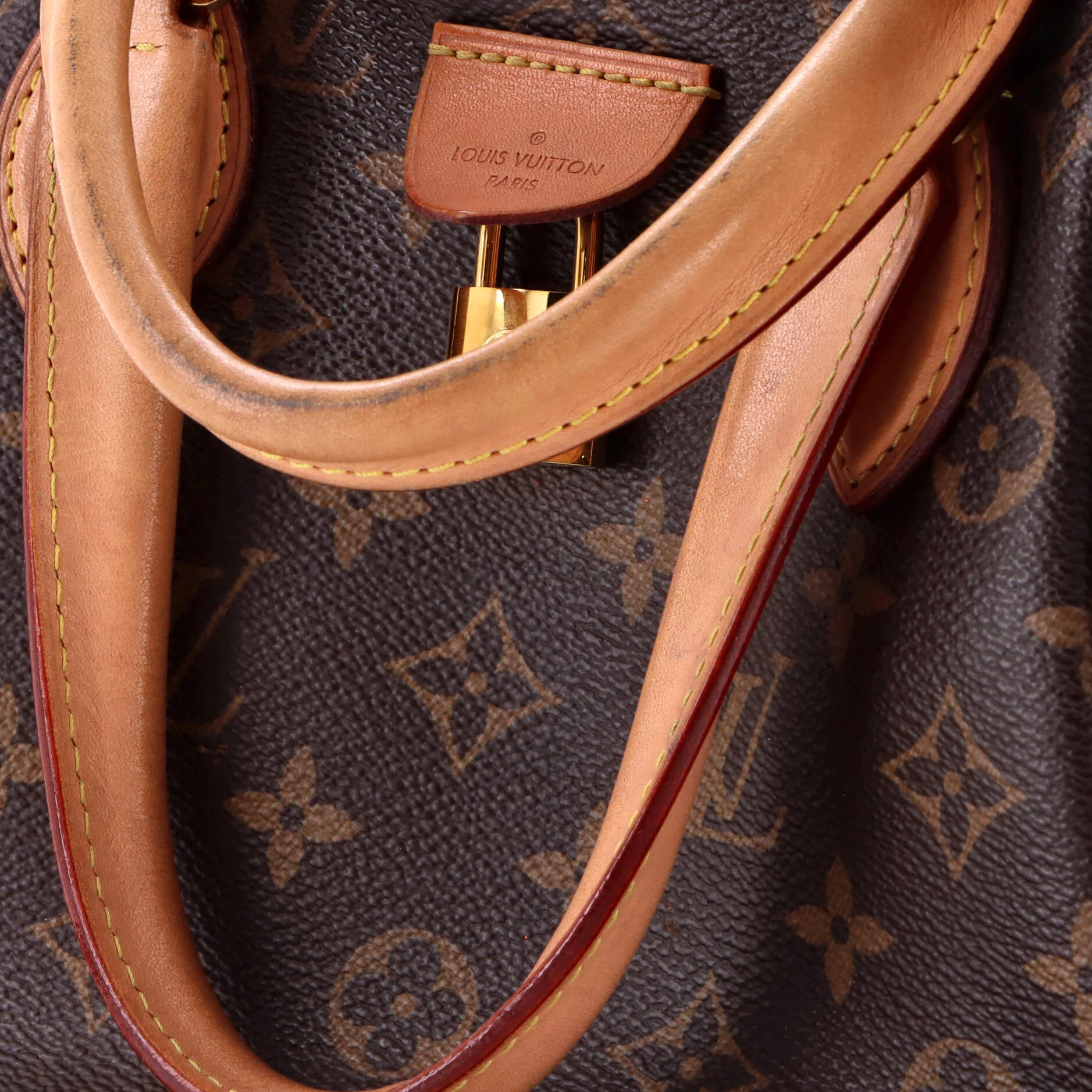 Rivoli Handbag Monogram Canvas PM - Image 7
