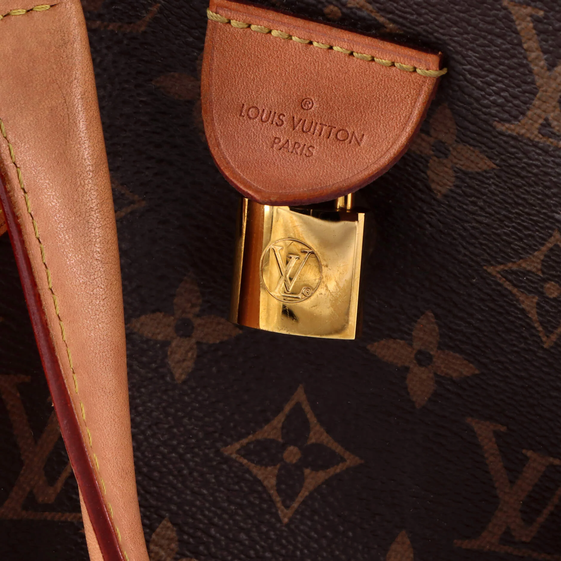 Rivoli Handbag Monogram Canvas PM - Image 8