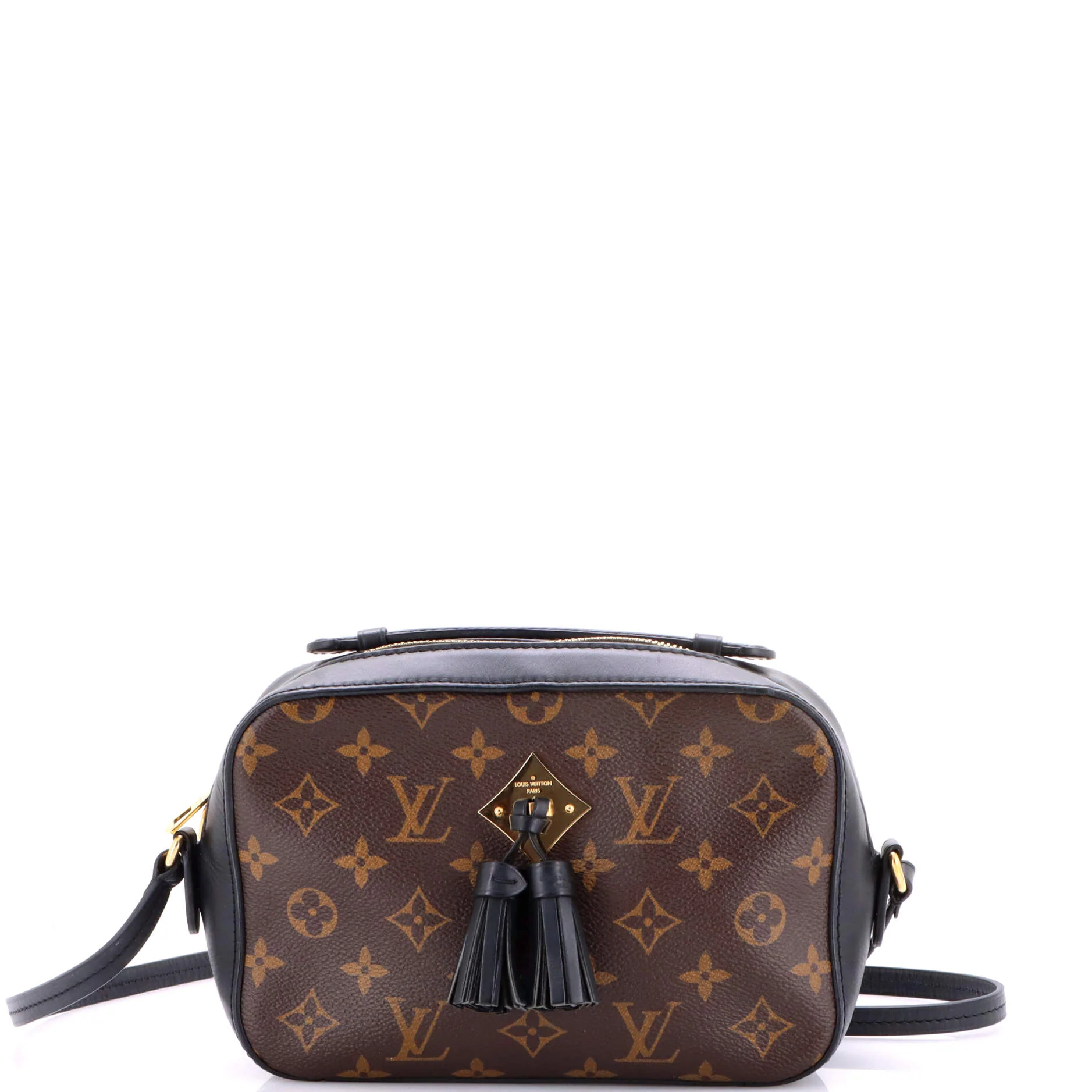 Saintonge Handbag Monogram Canvas with Leather