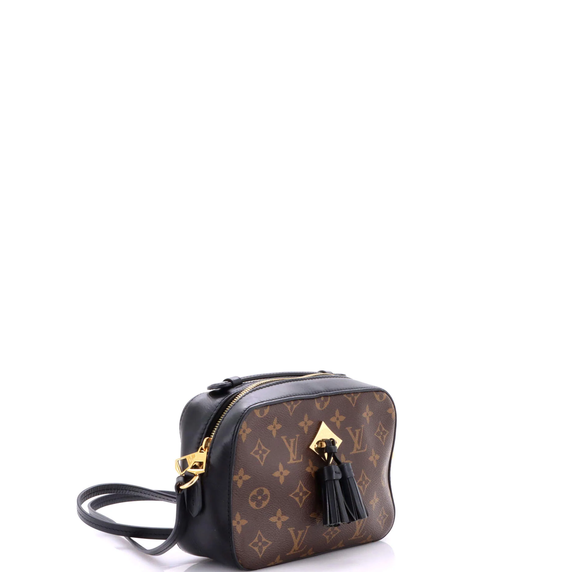 Saintonge Handbag Monogram Canvas with Leather - Image 2