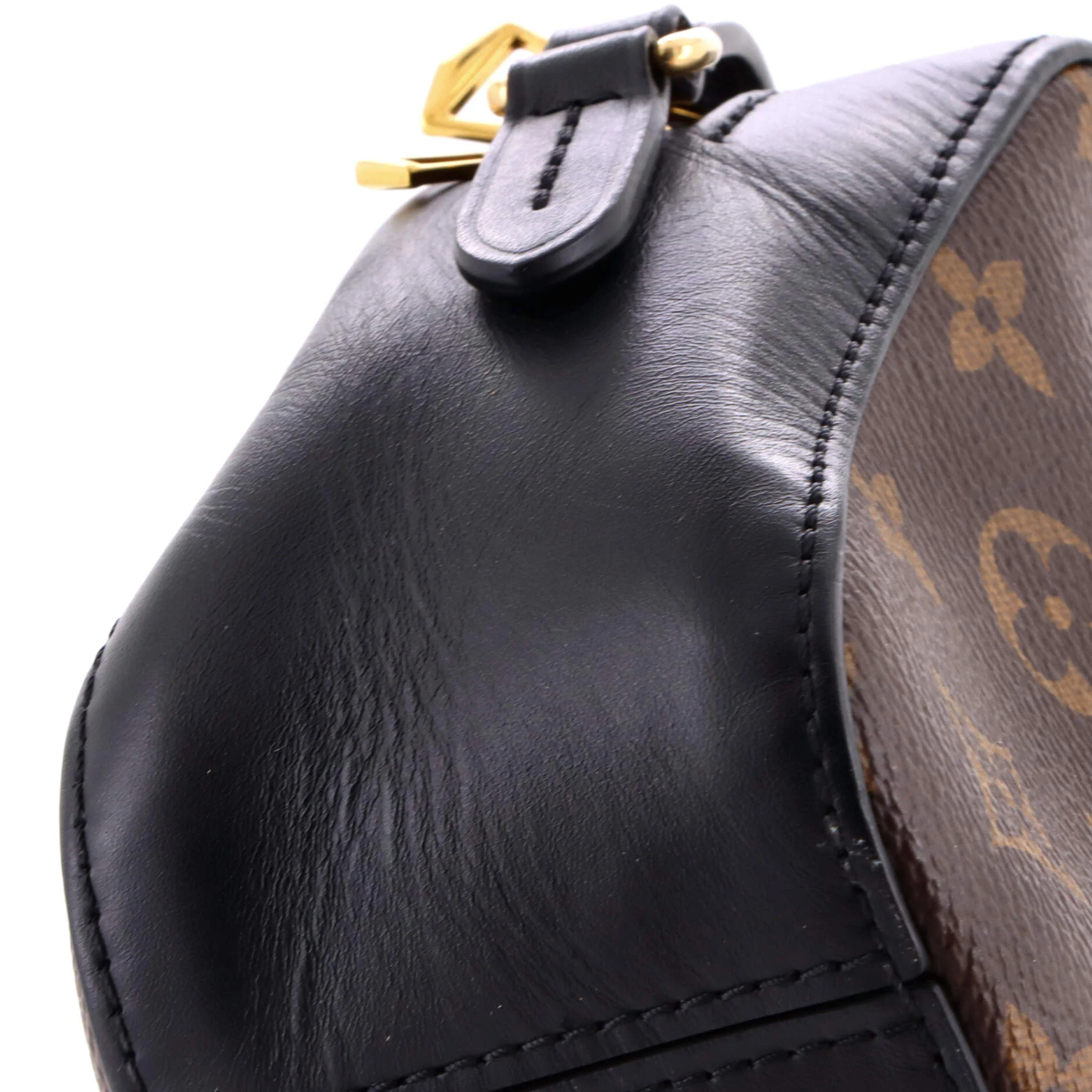 Saintonge Handbag Monogram Canvas with Leather - Image 6