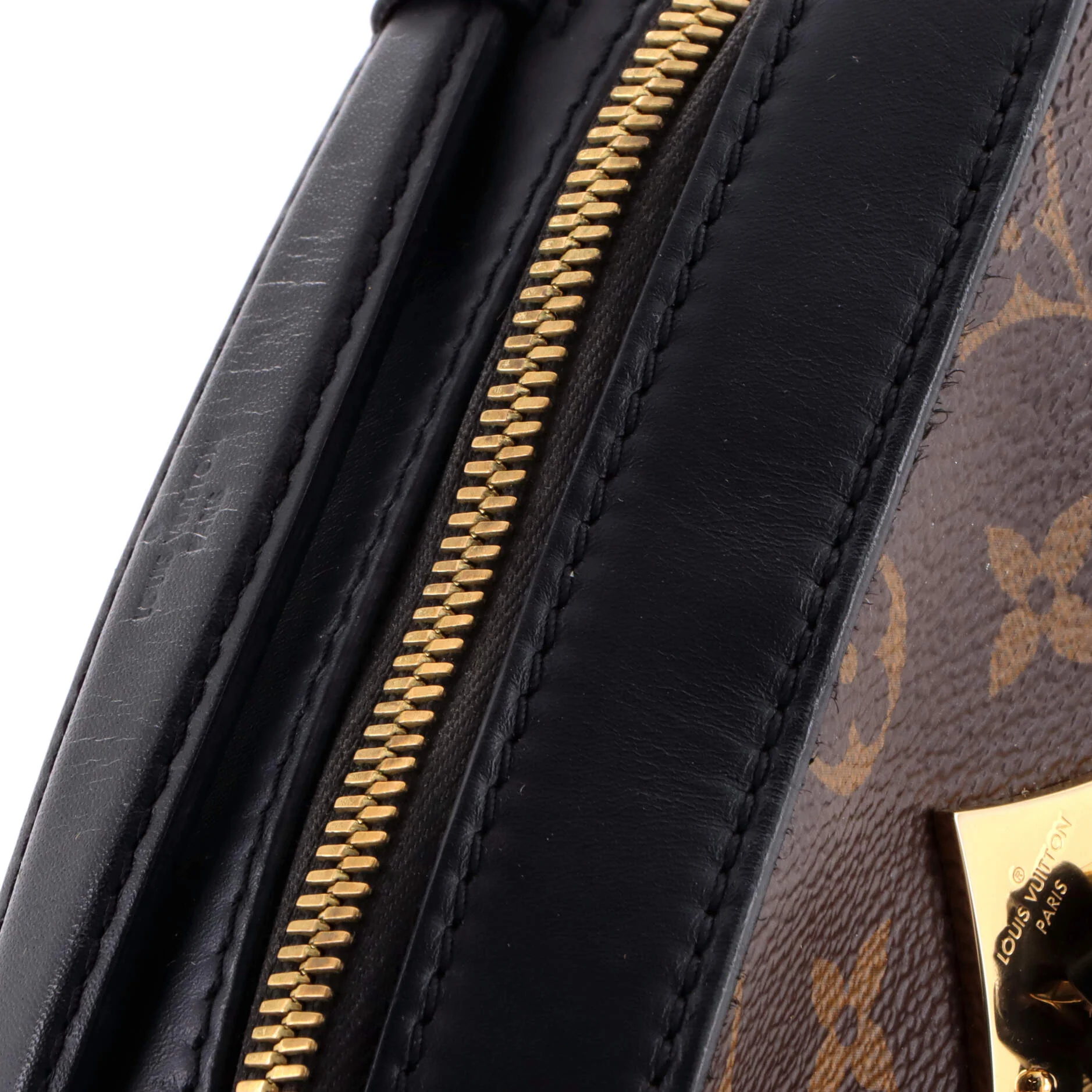 Saintonge Handbag Monogram Canvas with Leather - Image 7