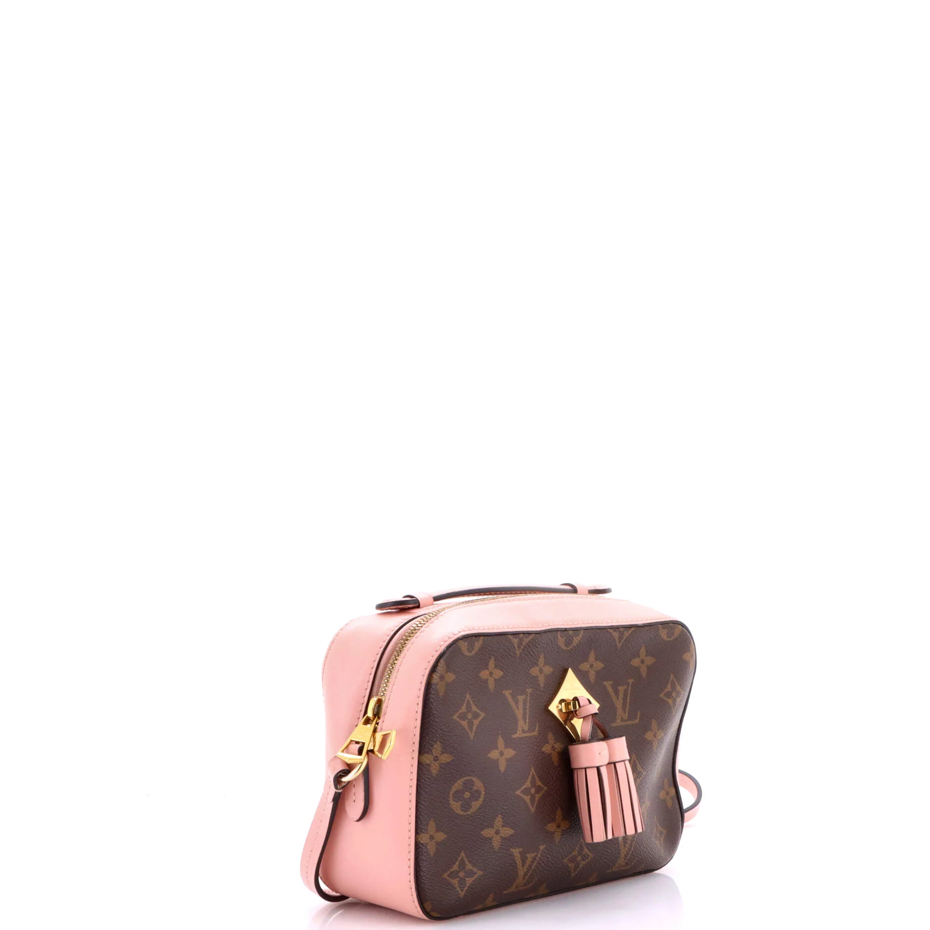 Saintonge Handbag Monogram Canvas with Leather - Image 2