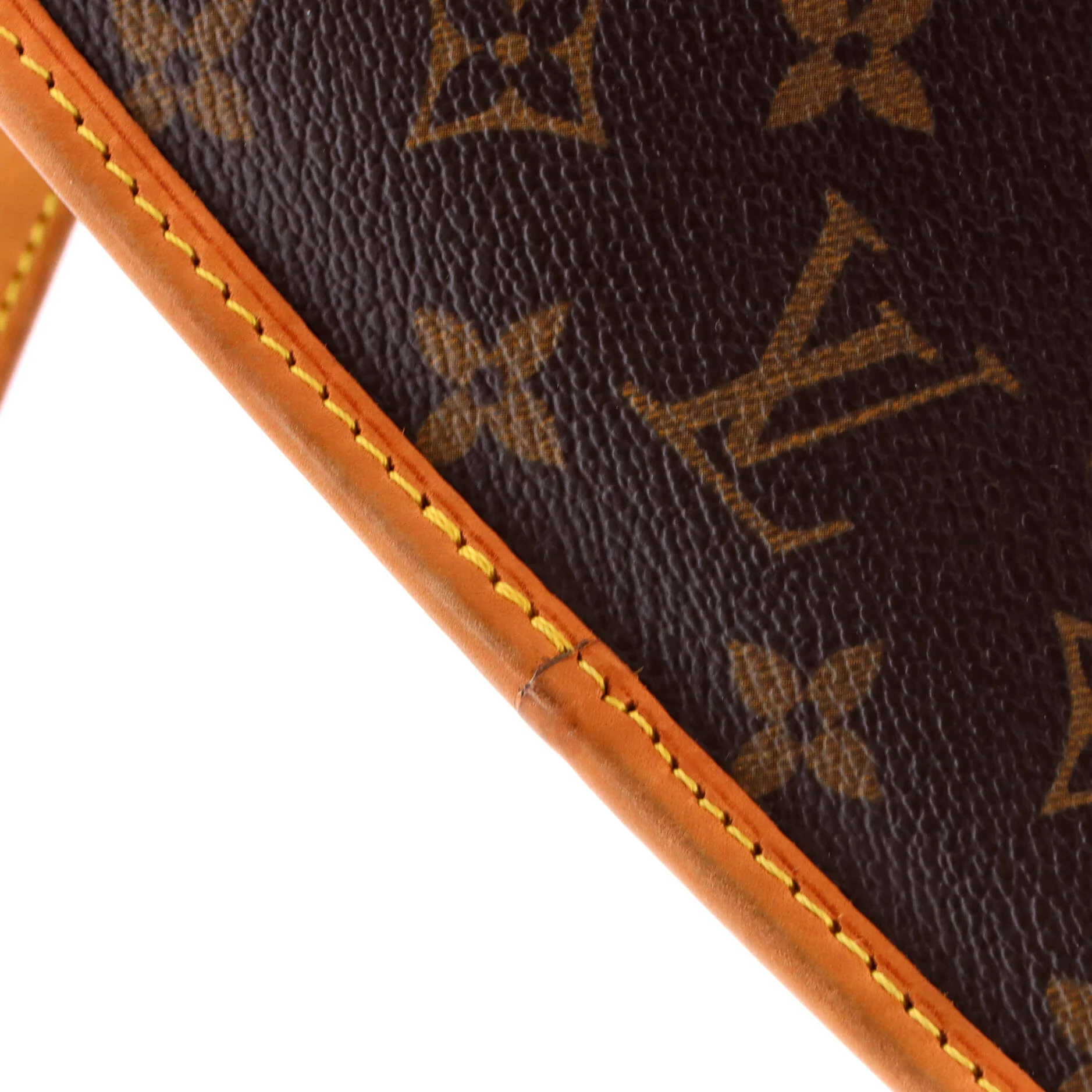 Sologne Handbag Monogram Canvas - Image 7