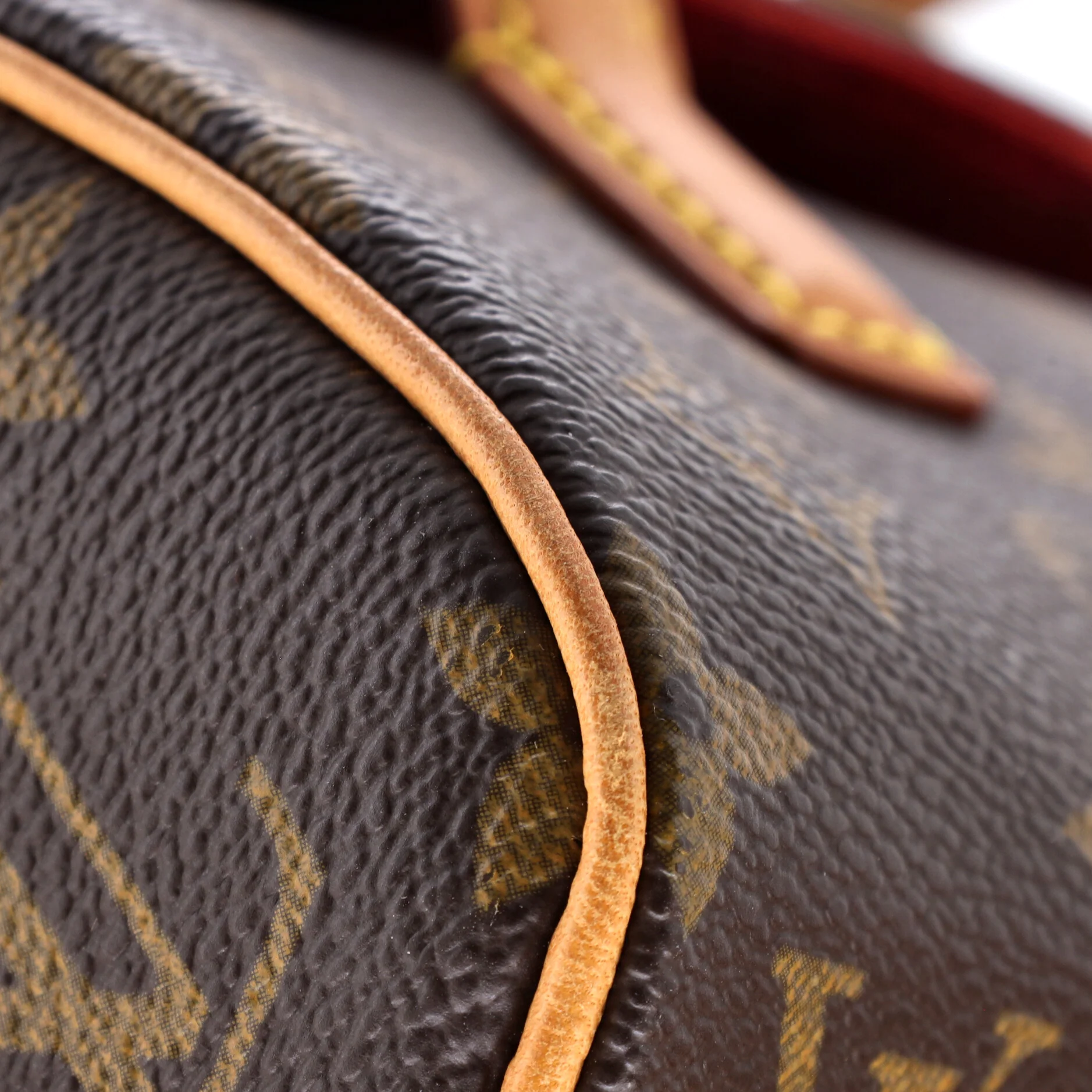 Sonatine Handbag Monogram Canvas - Image 7