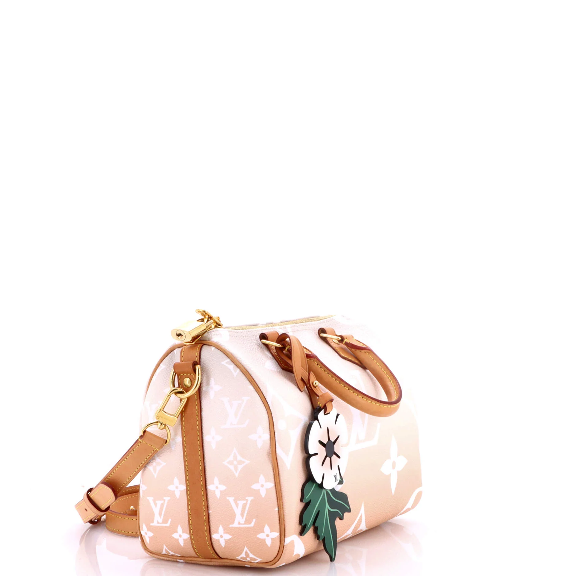 Speedy Bandouliere Bag By The Pool Monogram Giant 25 - Image 2