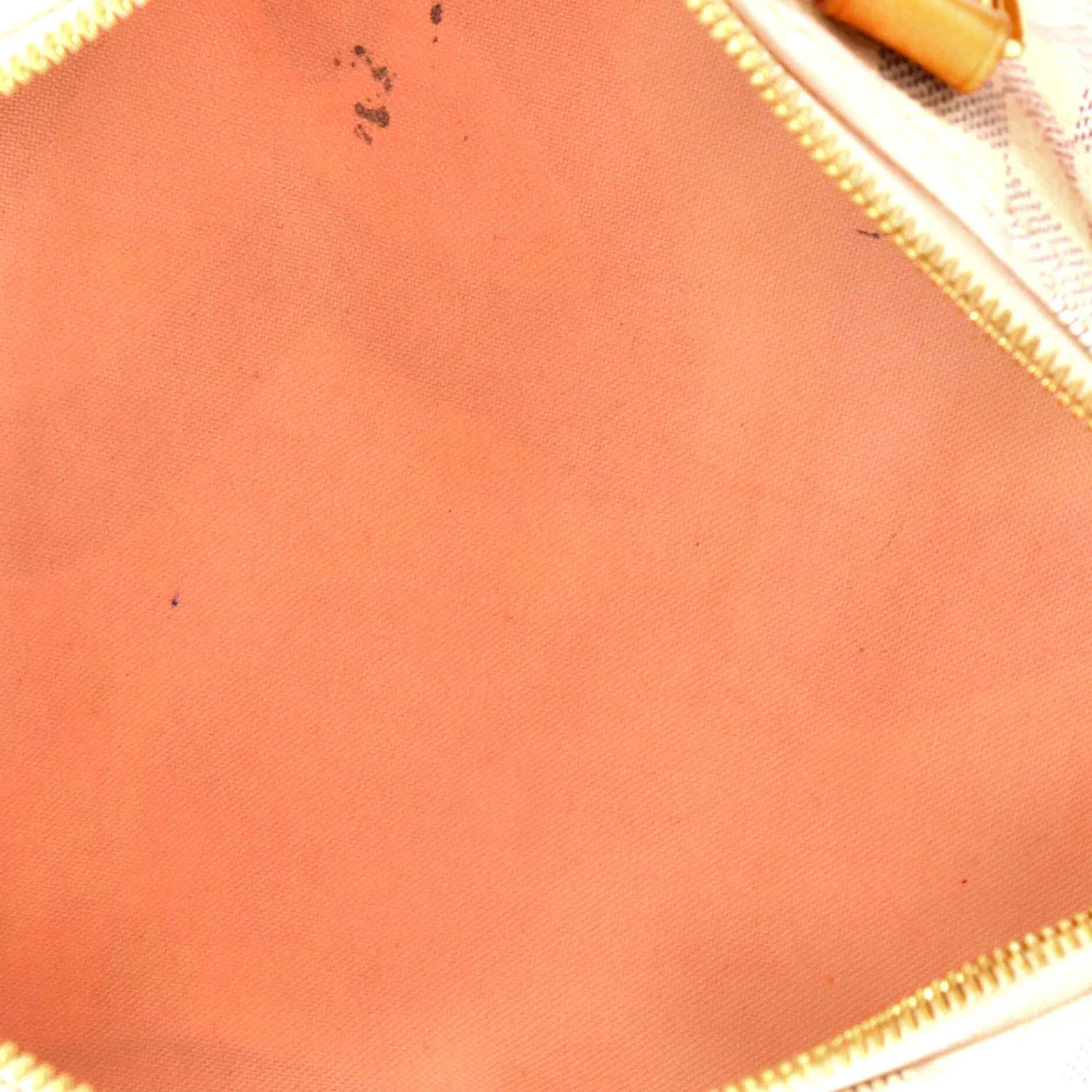 Speedy Bandouliere Bag Limited Edition Damier Tahitienne 30 - Image 5