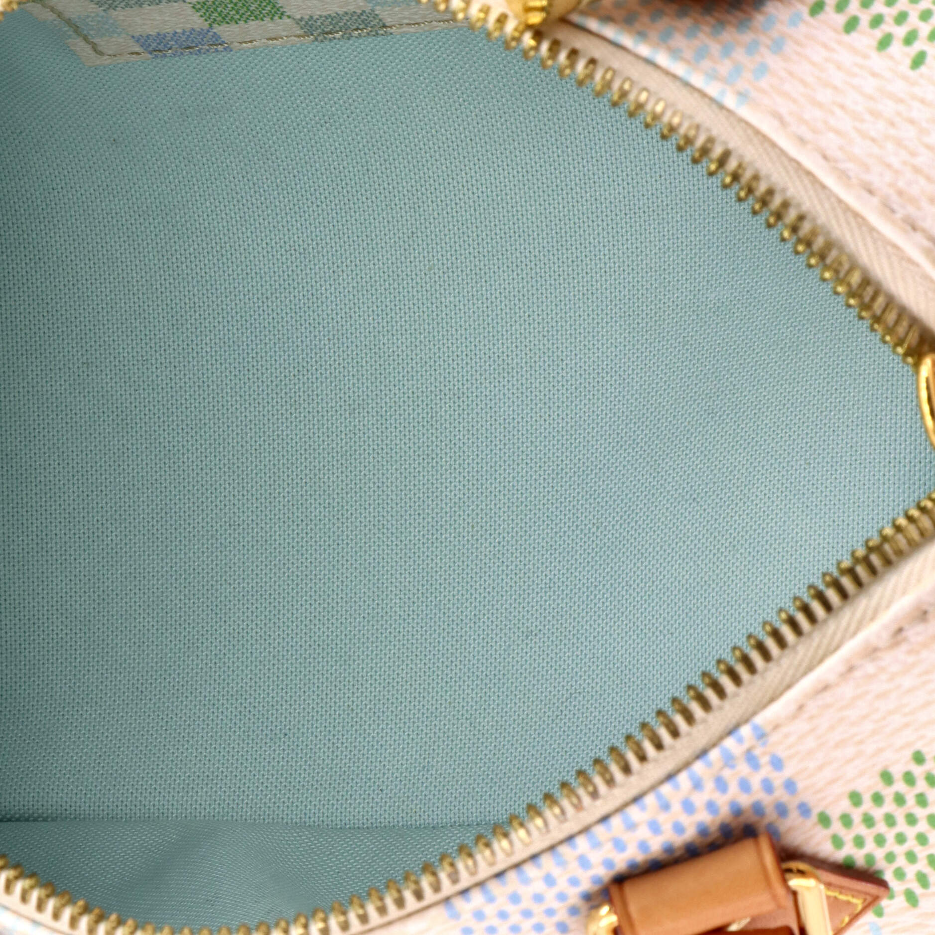 Speedy Bandouliere Bag Limited Edition Damierlicious Giant 20 - Image 5