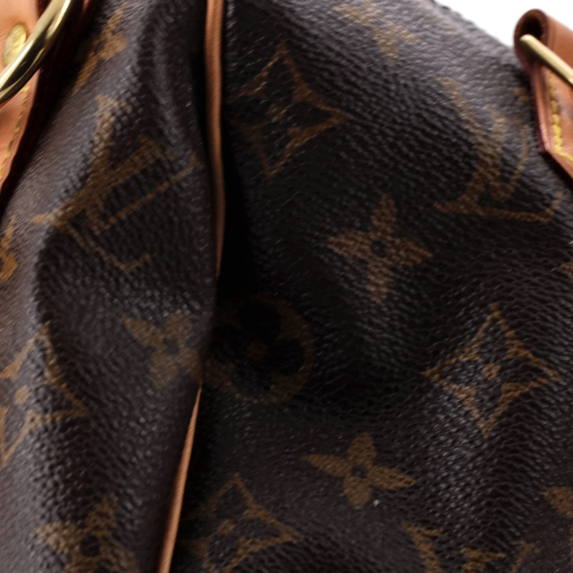 Speedy Bandouliere Bag Monogram Canvas 25 - Image 6
