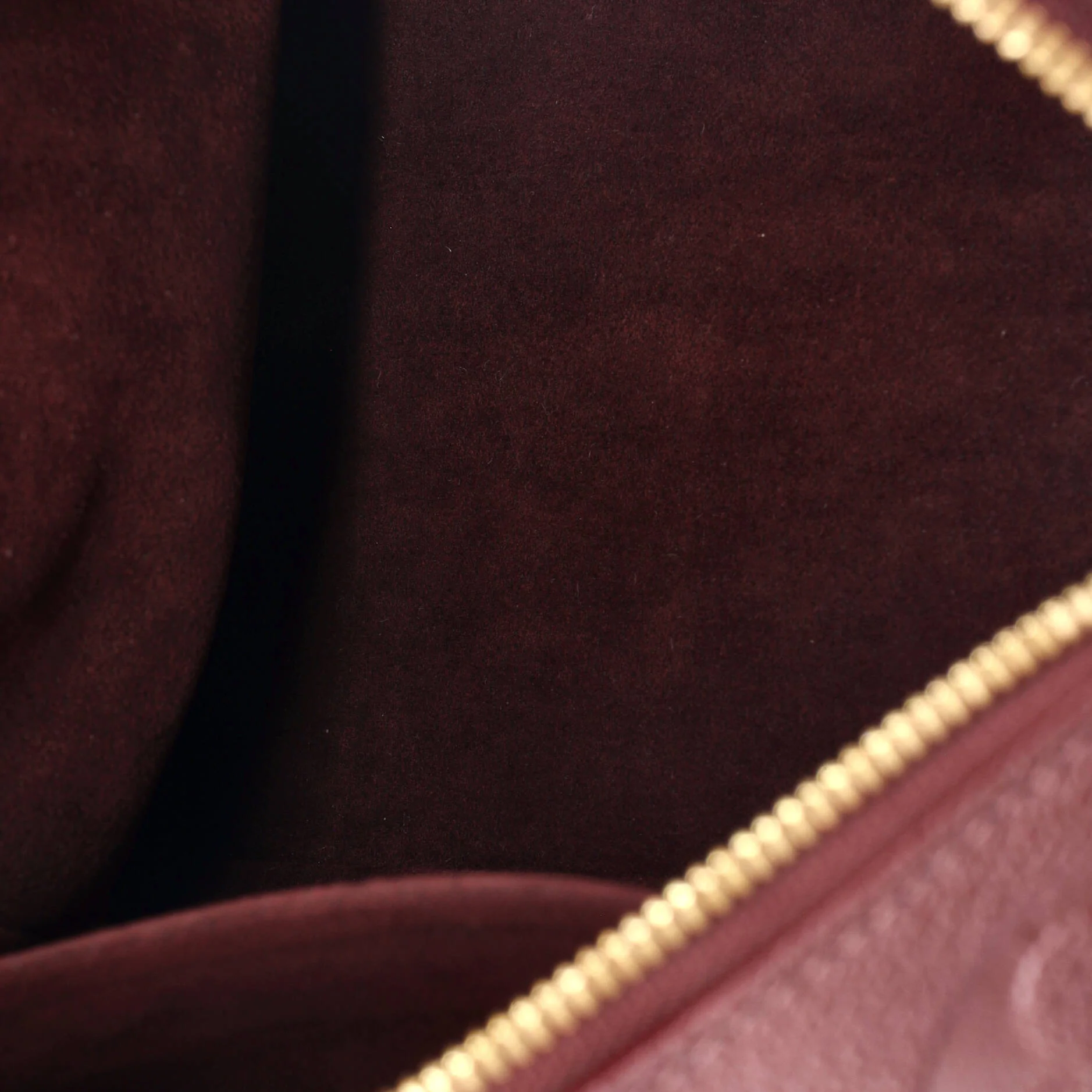 Speedy Bandouliere Bag Monogram Empreinte Giant 25 - Image 5