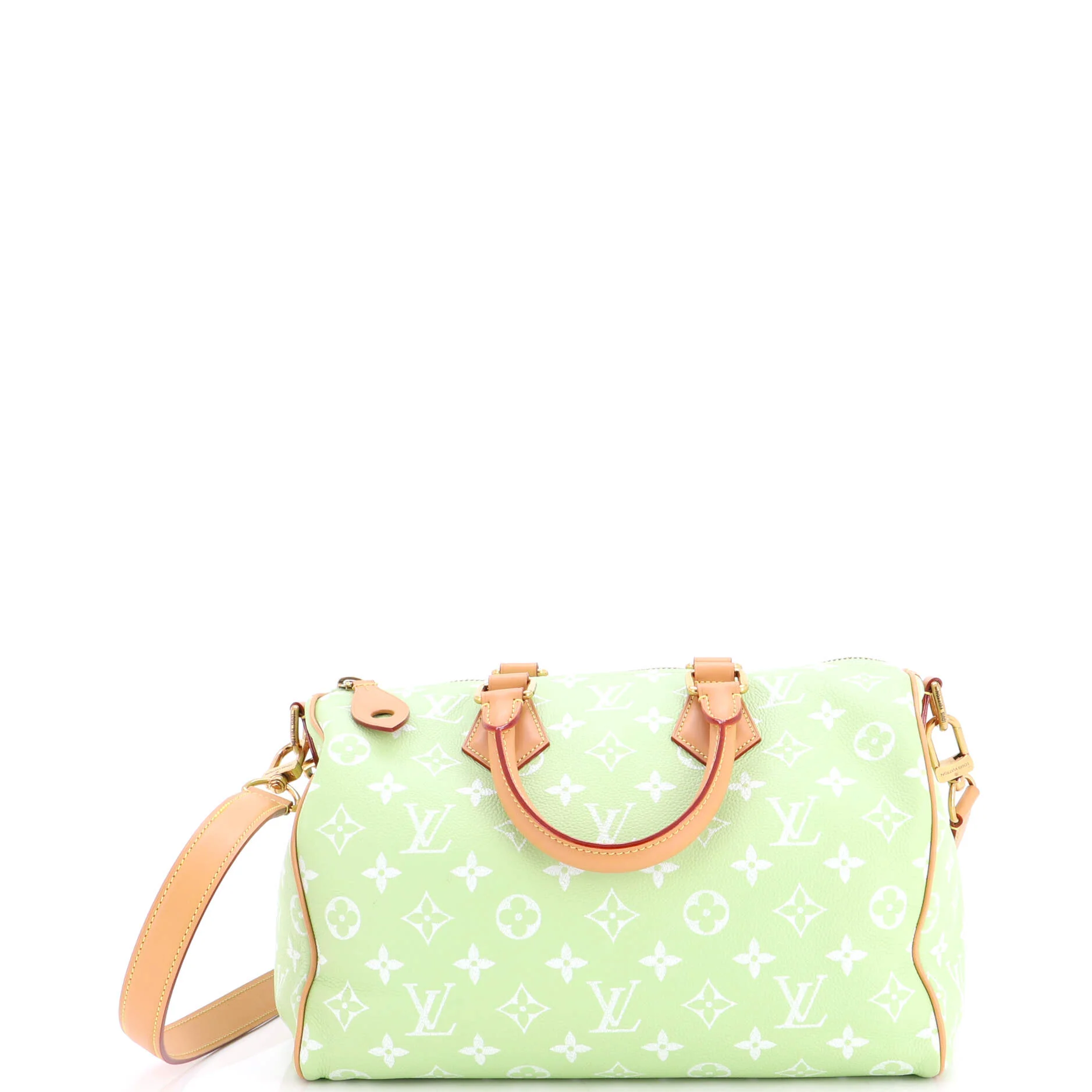 Speedy P9 Bandouliere Bag Monogram Leather 30