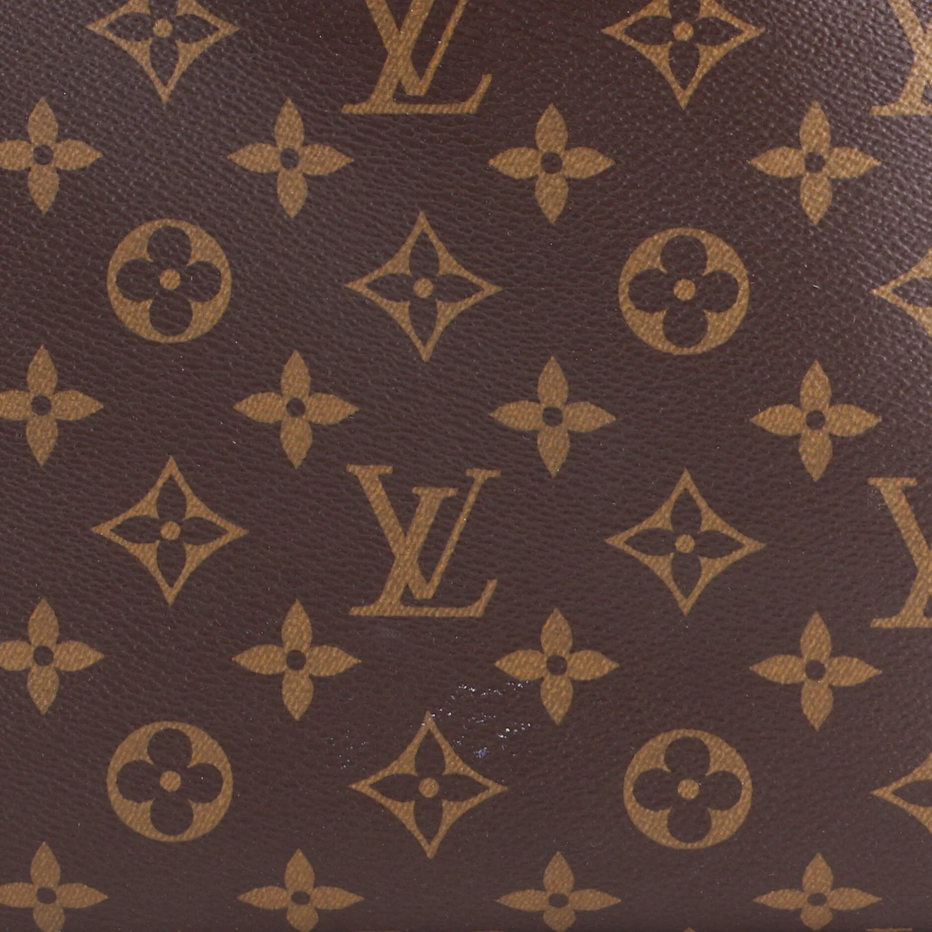 Sully Handbag Monogram Canvas PM - Image 6
