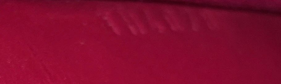 Sunset Boulevard Handbag Monogram Vernis - Image 8