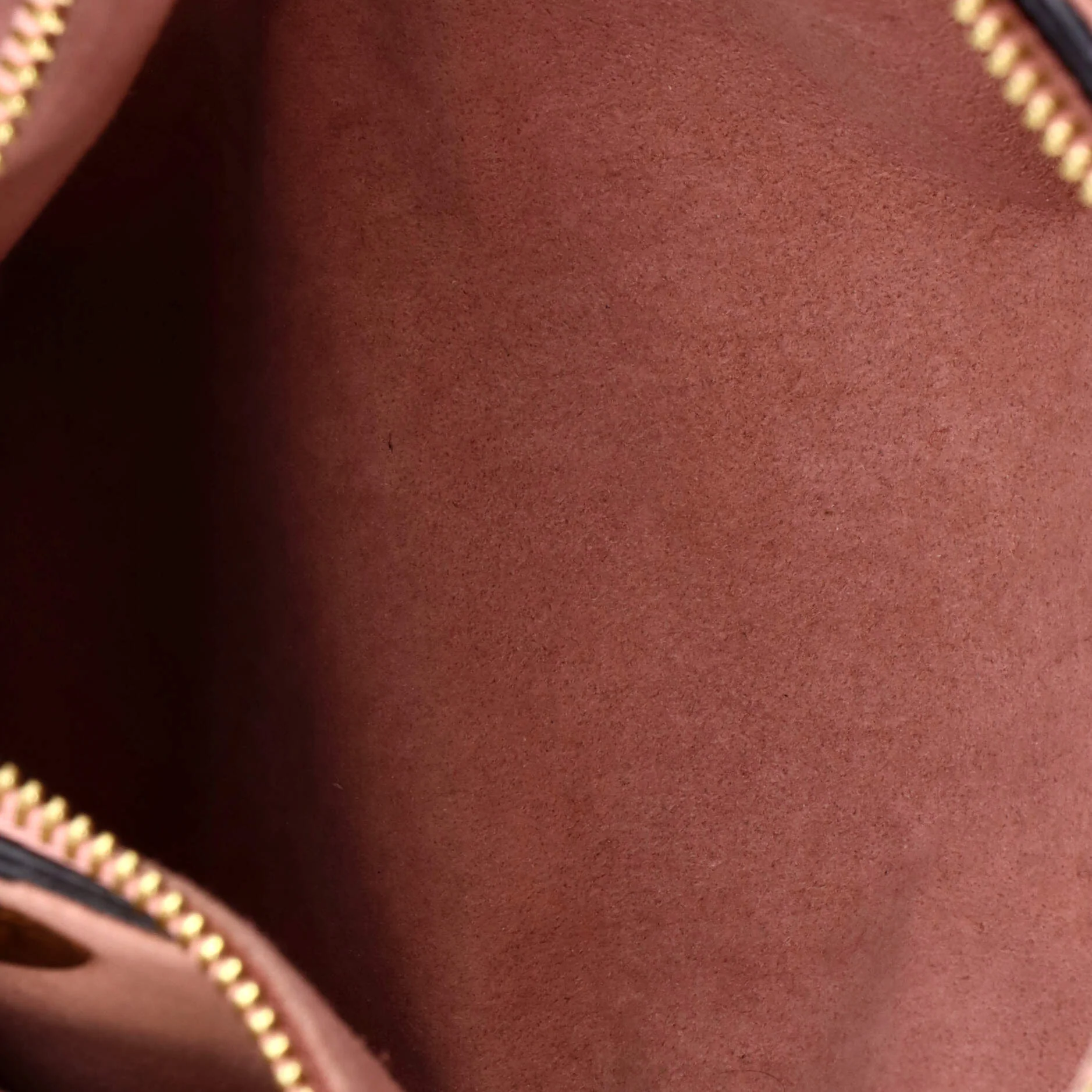 Surene Handbag Monogram Canvas with Leather BB - Image 5